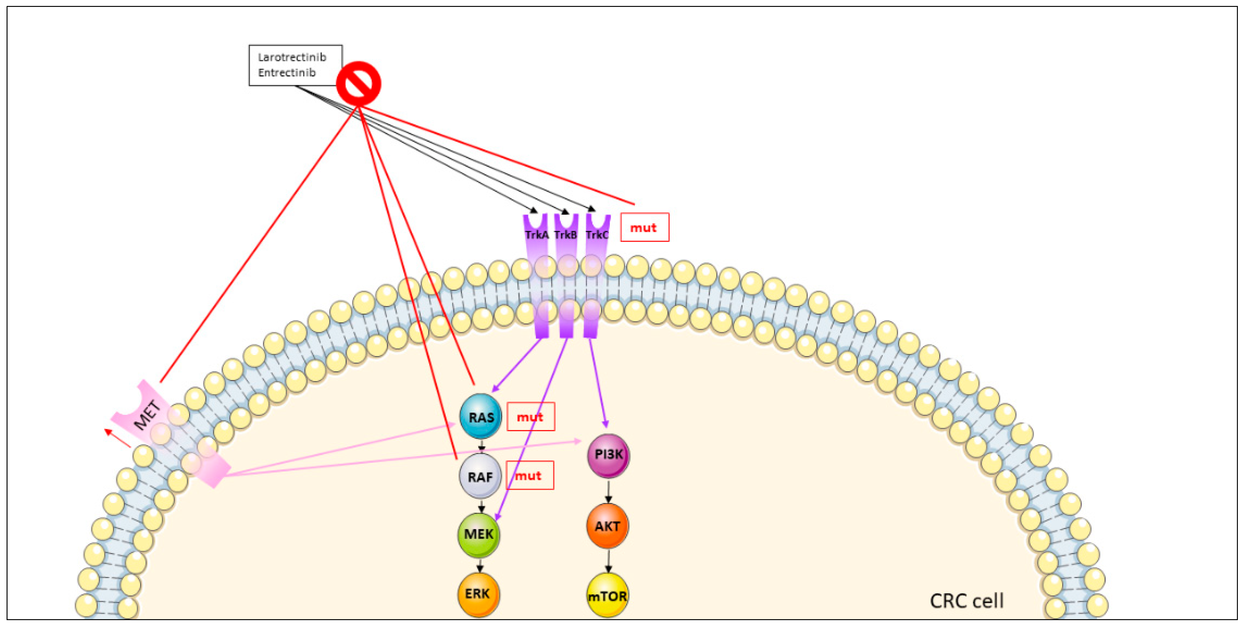 Jcm 11 07523 g005 Jcm 11 07523 g005
