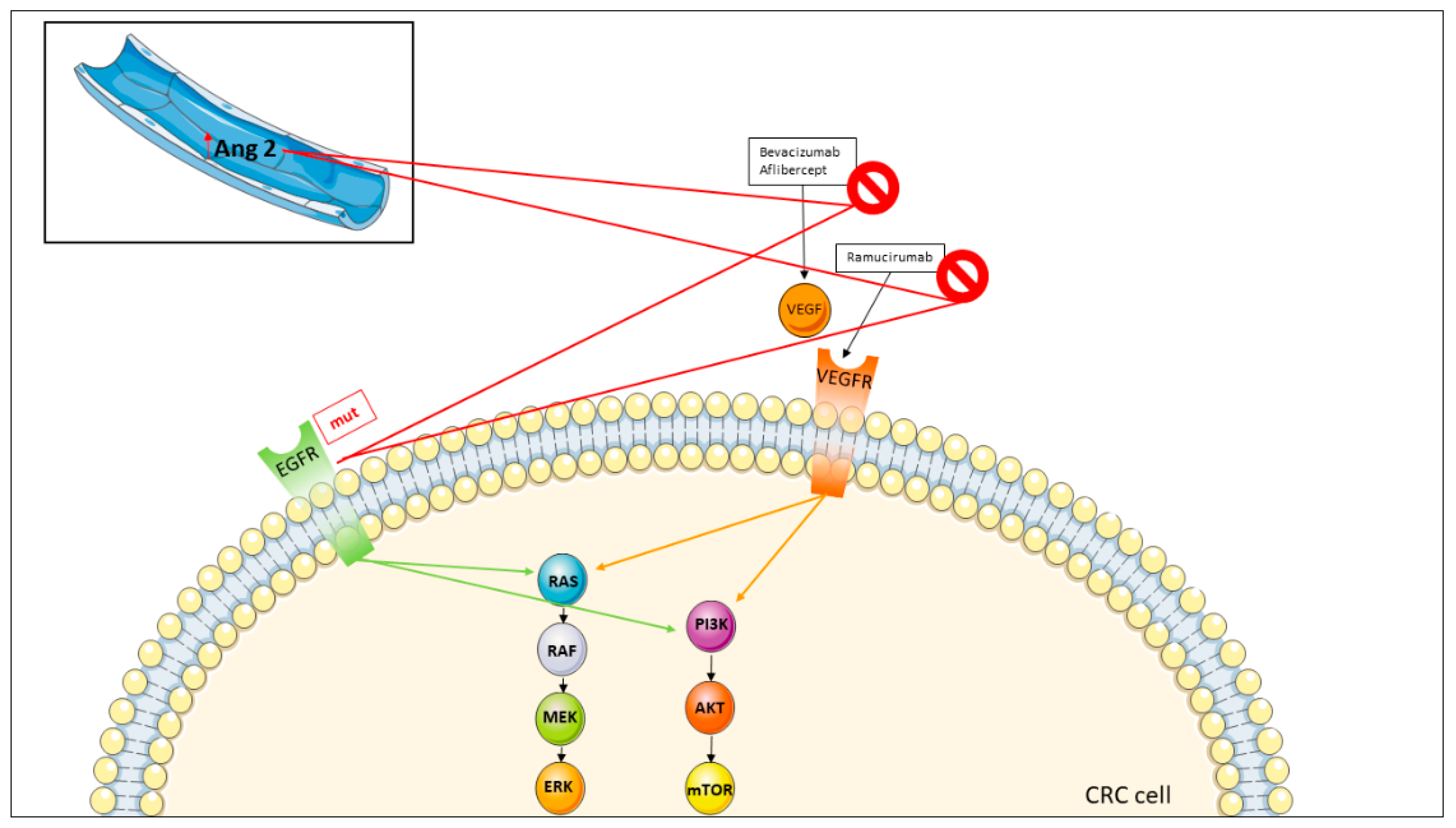 Jcm 11 07523 g006 Jcm 11 07523 g006