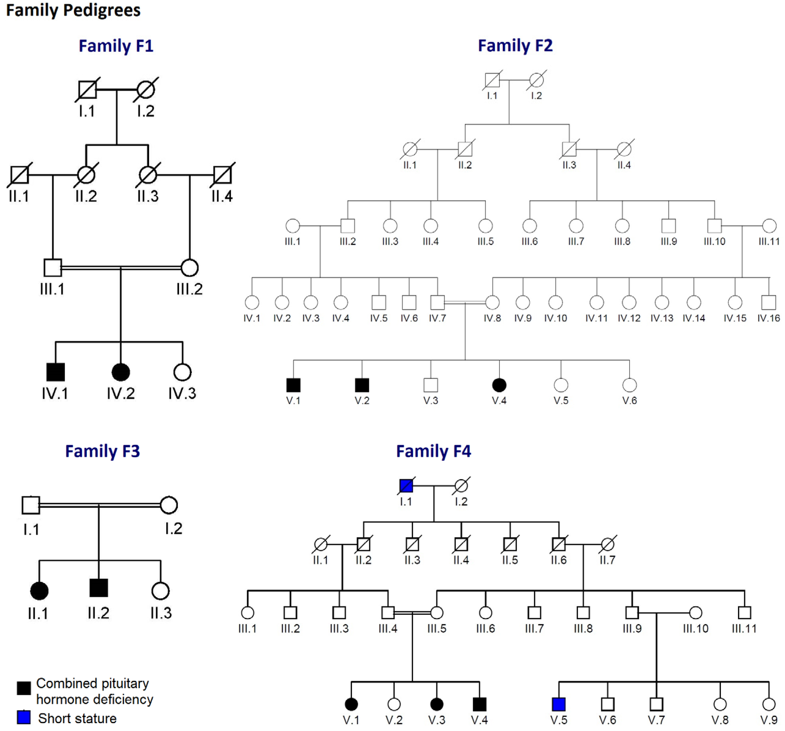 Jcm 11 07525 g001 Jcm 11 07525 g001