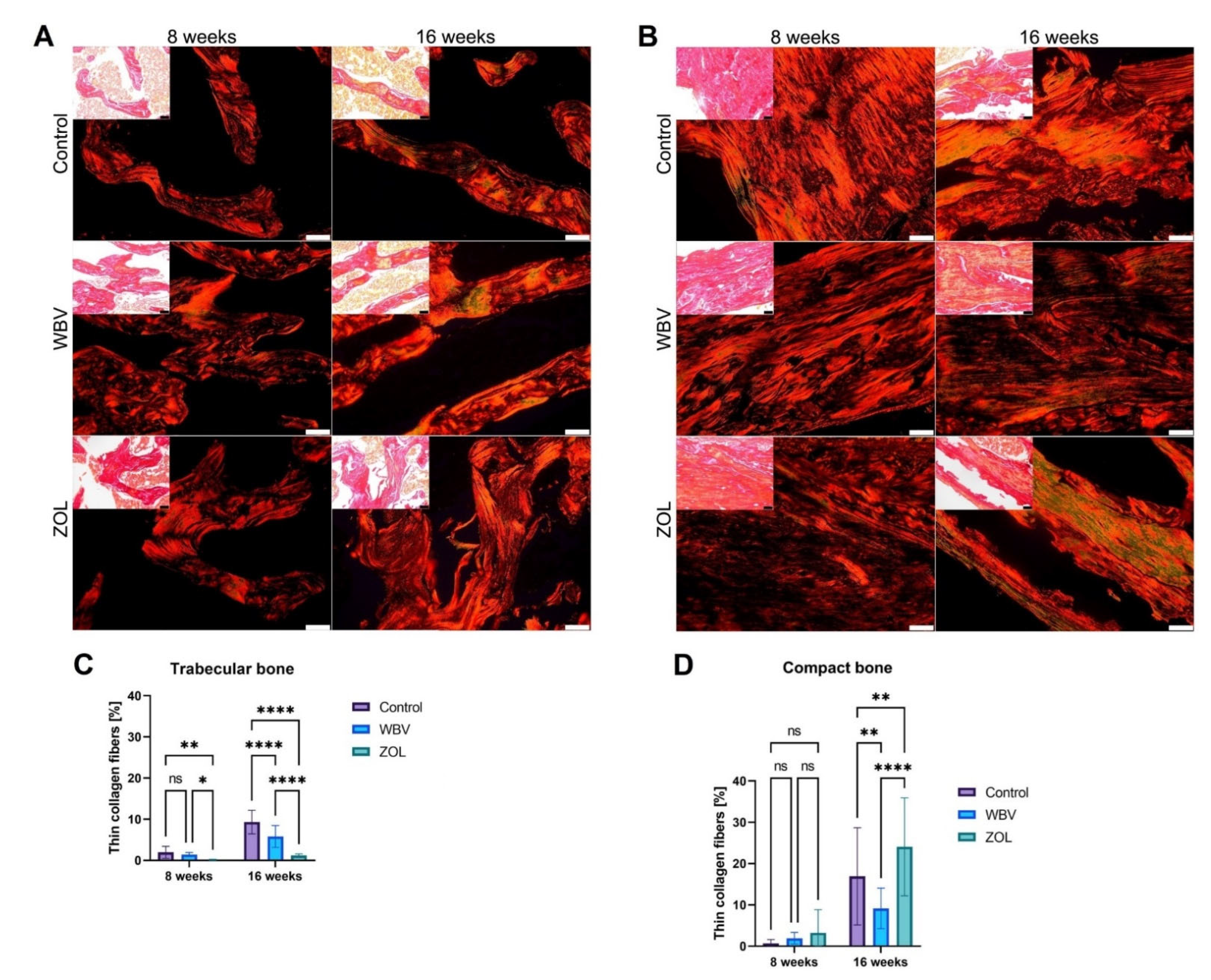 Jcm 12 00043 g004 Jcm 12 00043 g004