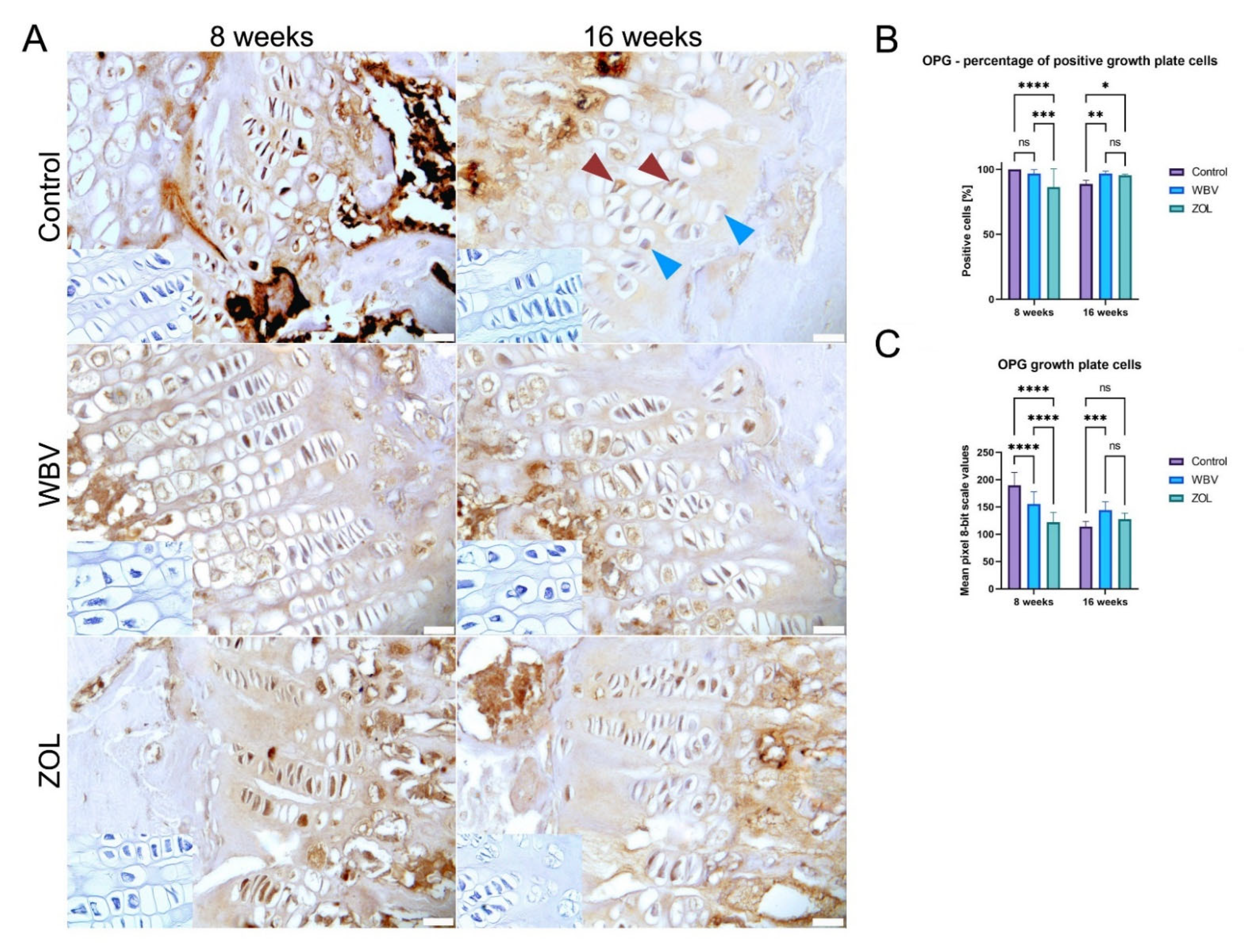 Jcm 12 00043 g006 Jcm 12 00043 g006