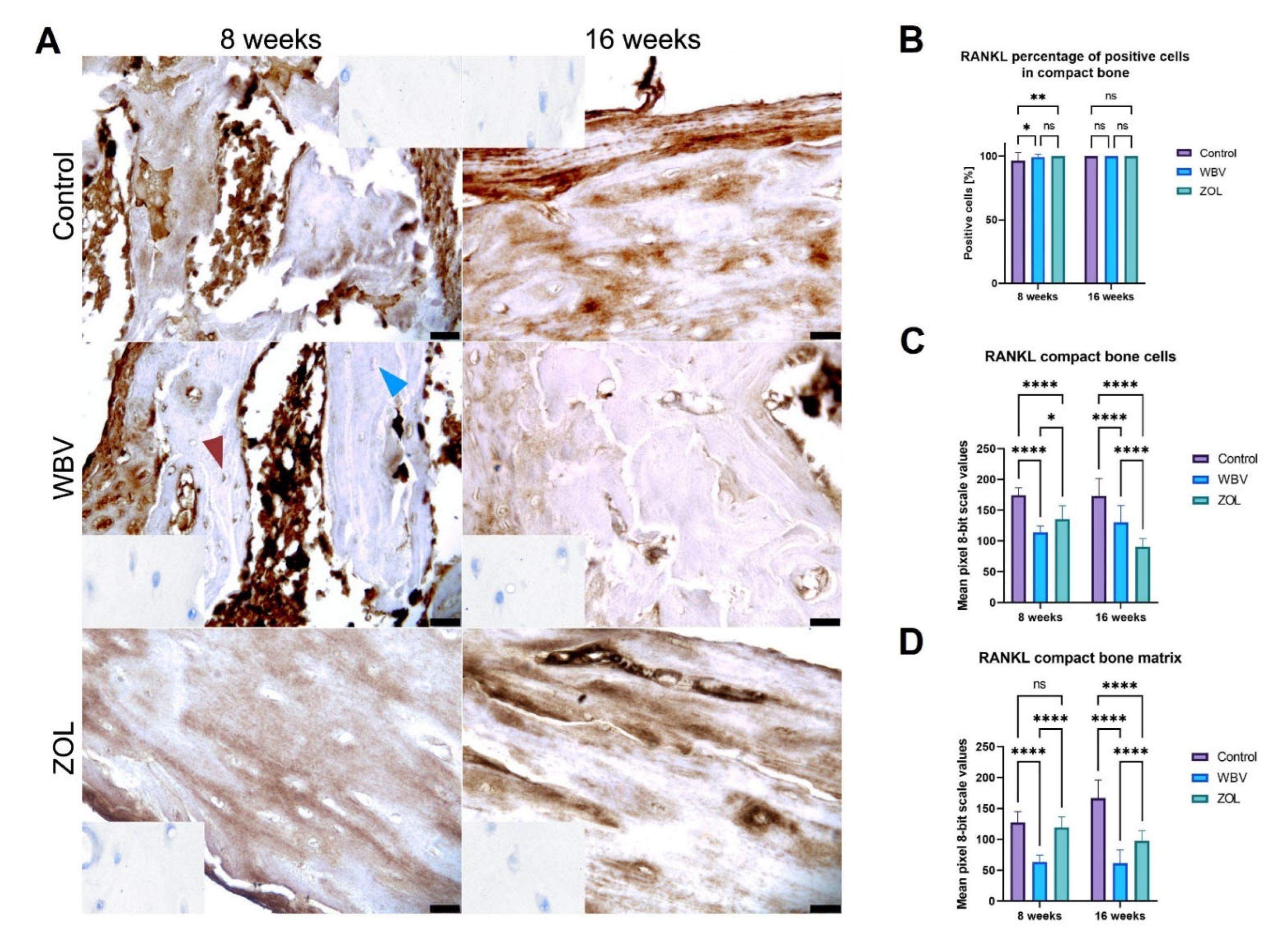 Jcm 12 00043 g008 Jcm 12 00043 g008