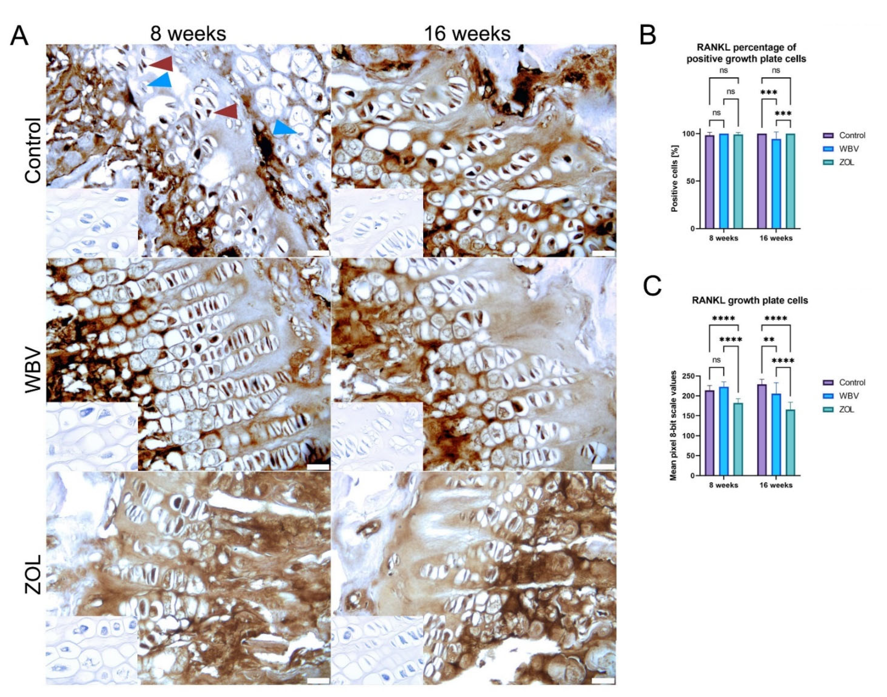 Jcm 12 00043 g009 Jcm 12 00043 g009
