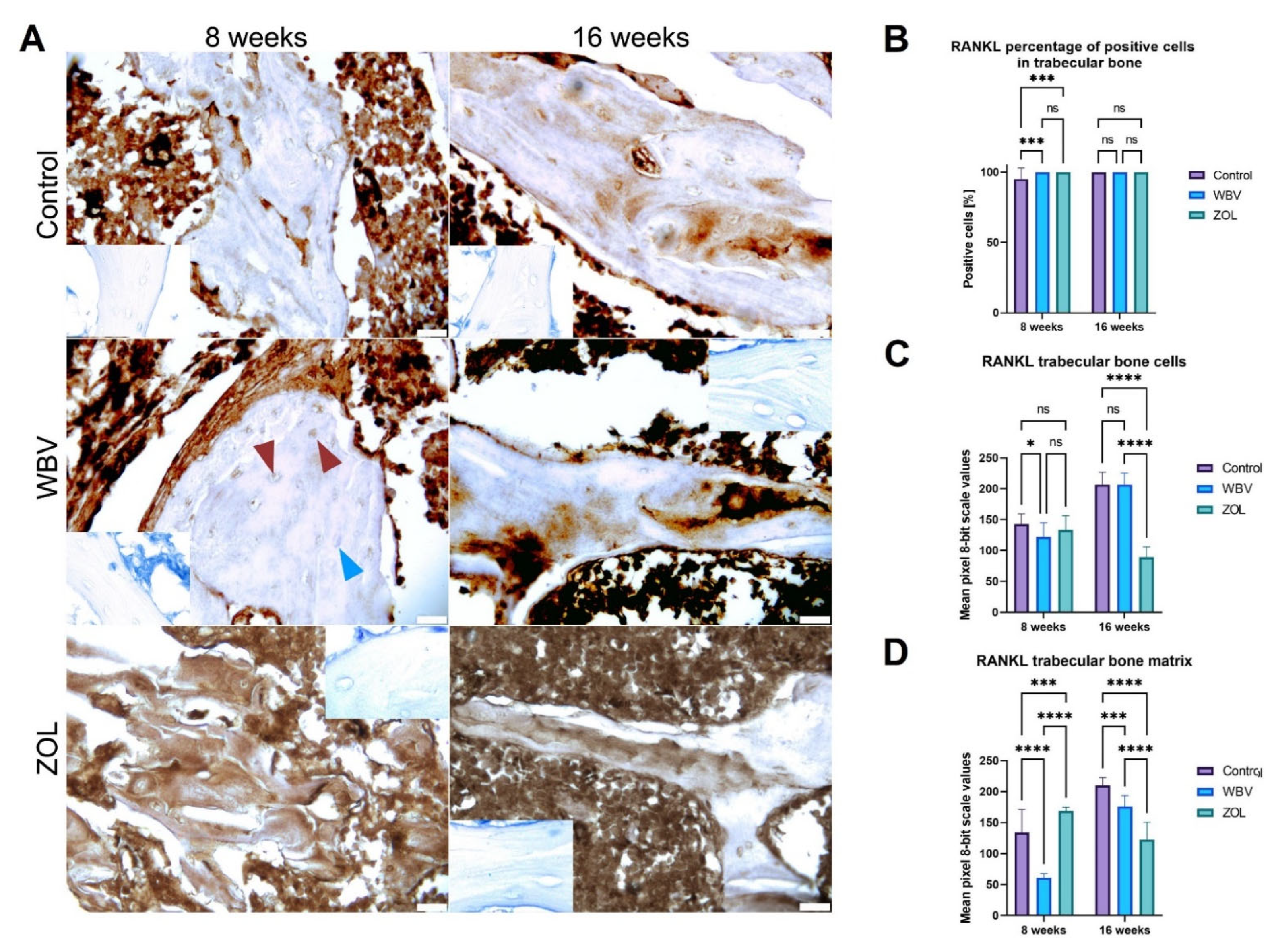 Jcm 12 00043 g010 Jcm 12 00043 g010