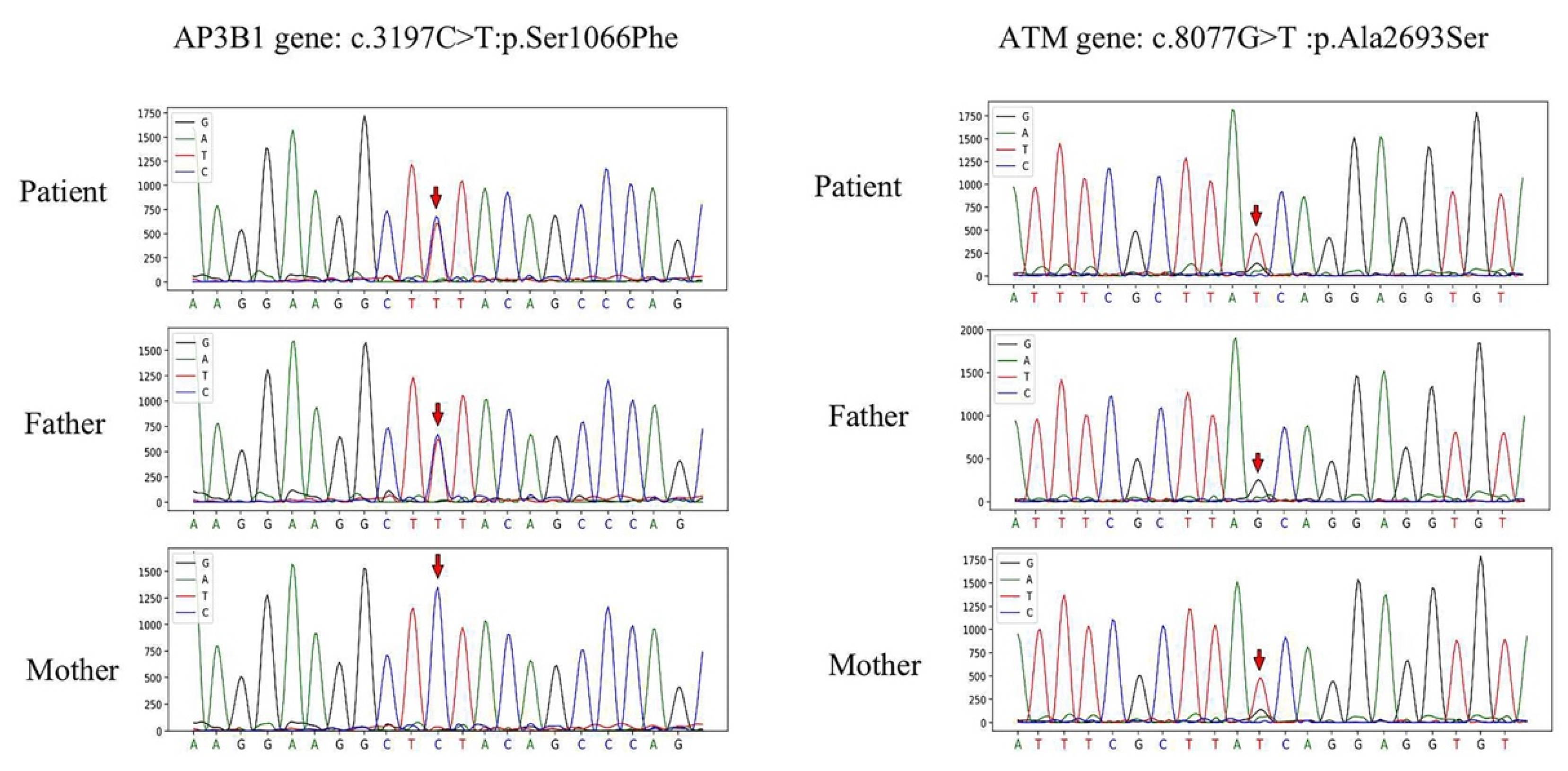 Jcm 12 00095 g005 Jcm 12 00095 g005