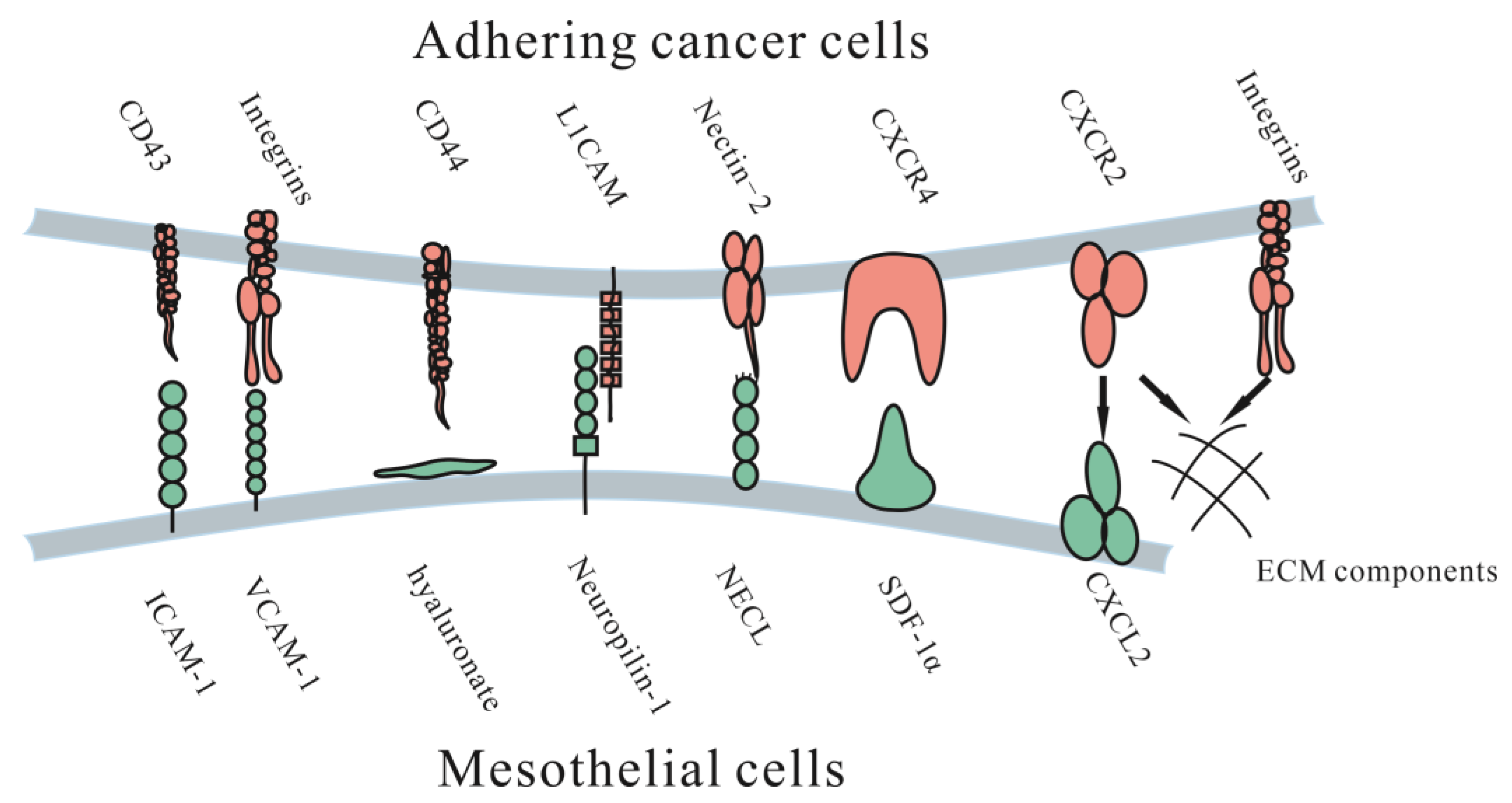 Jcm 12 00103 g002 Jcm 12 00103 g002
