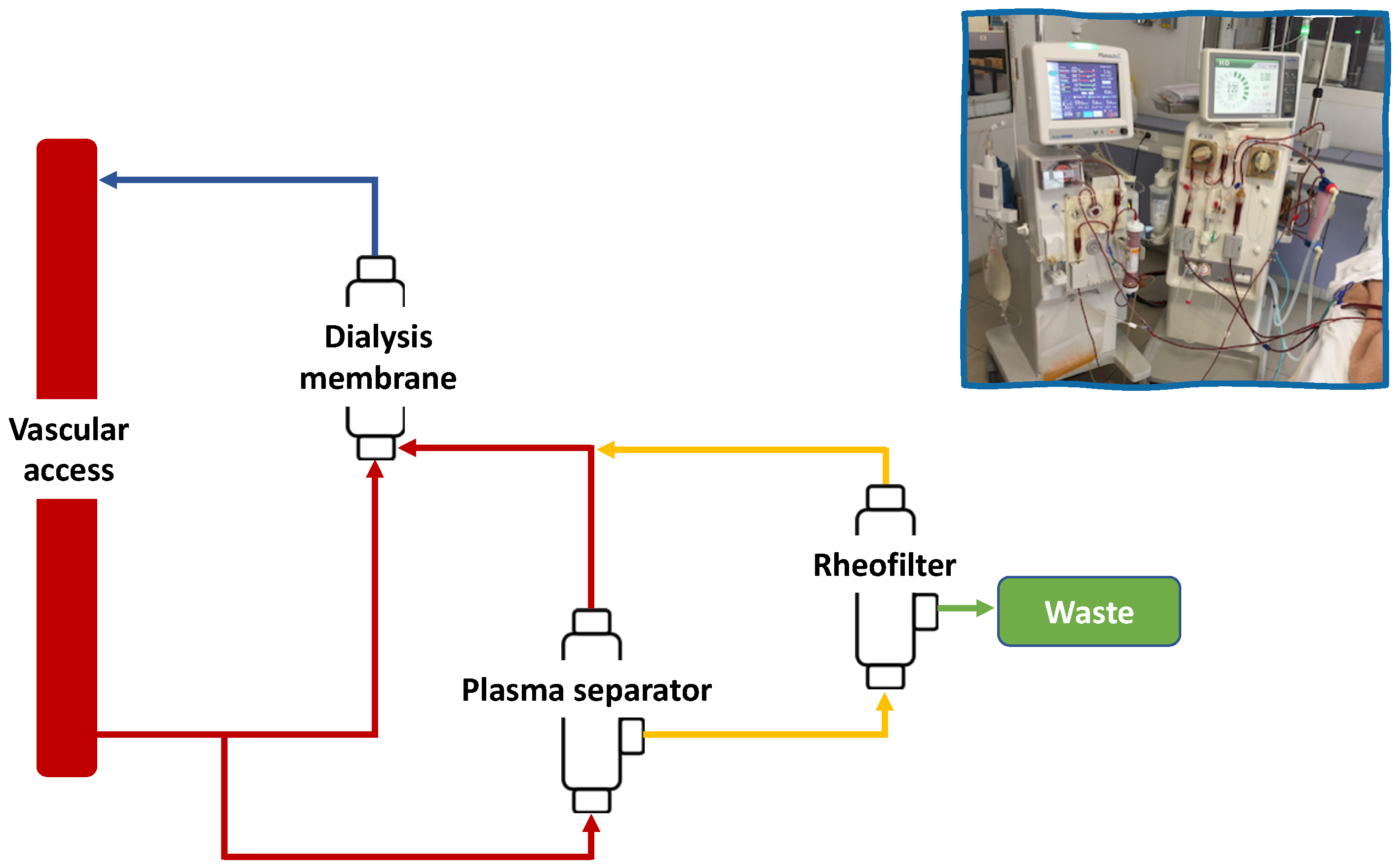 Jcm 12 00105 g001 Jcm 12 00105 g001