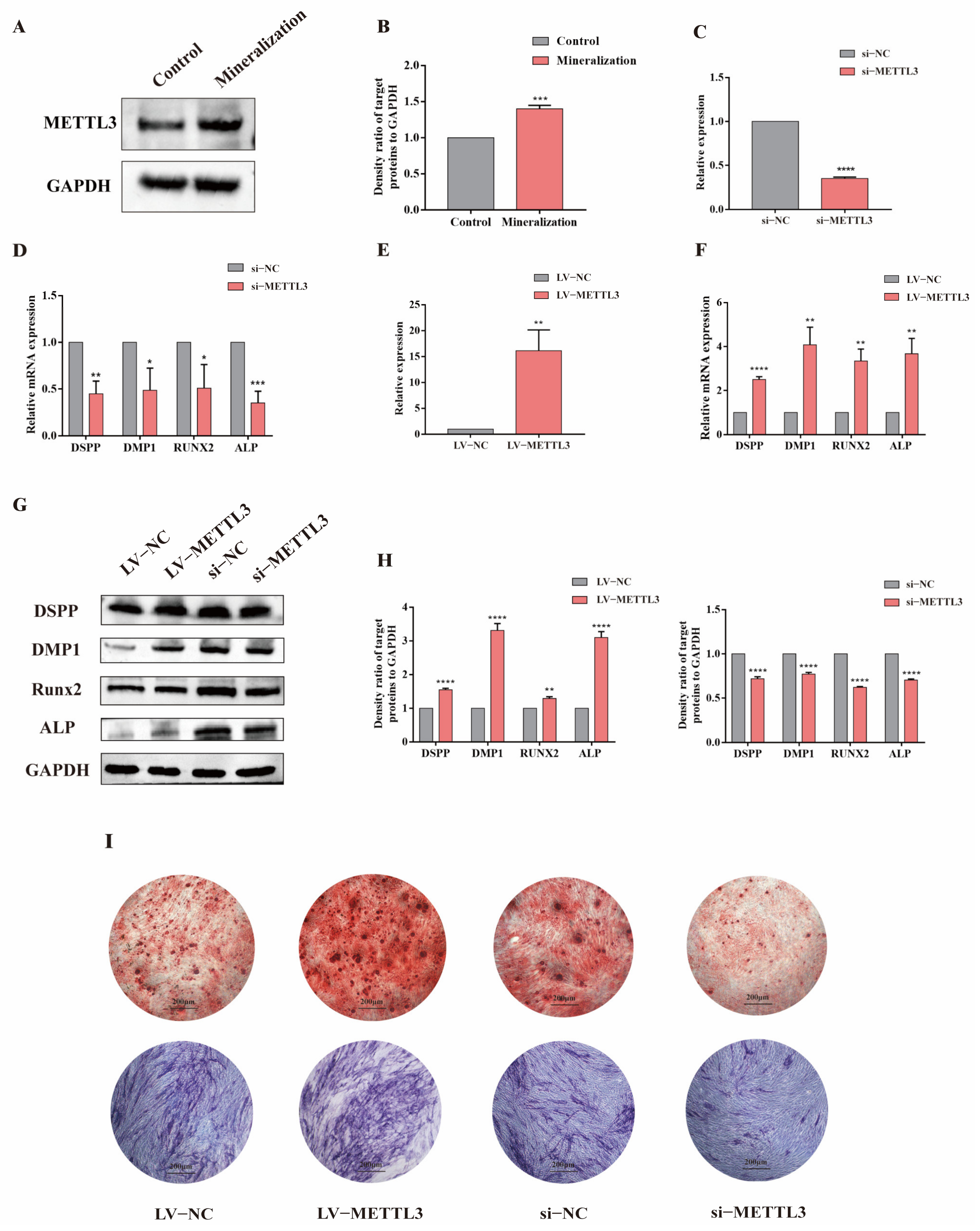 Jcm 12 00113 g003 Jcm 12 00113 g003