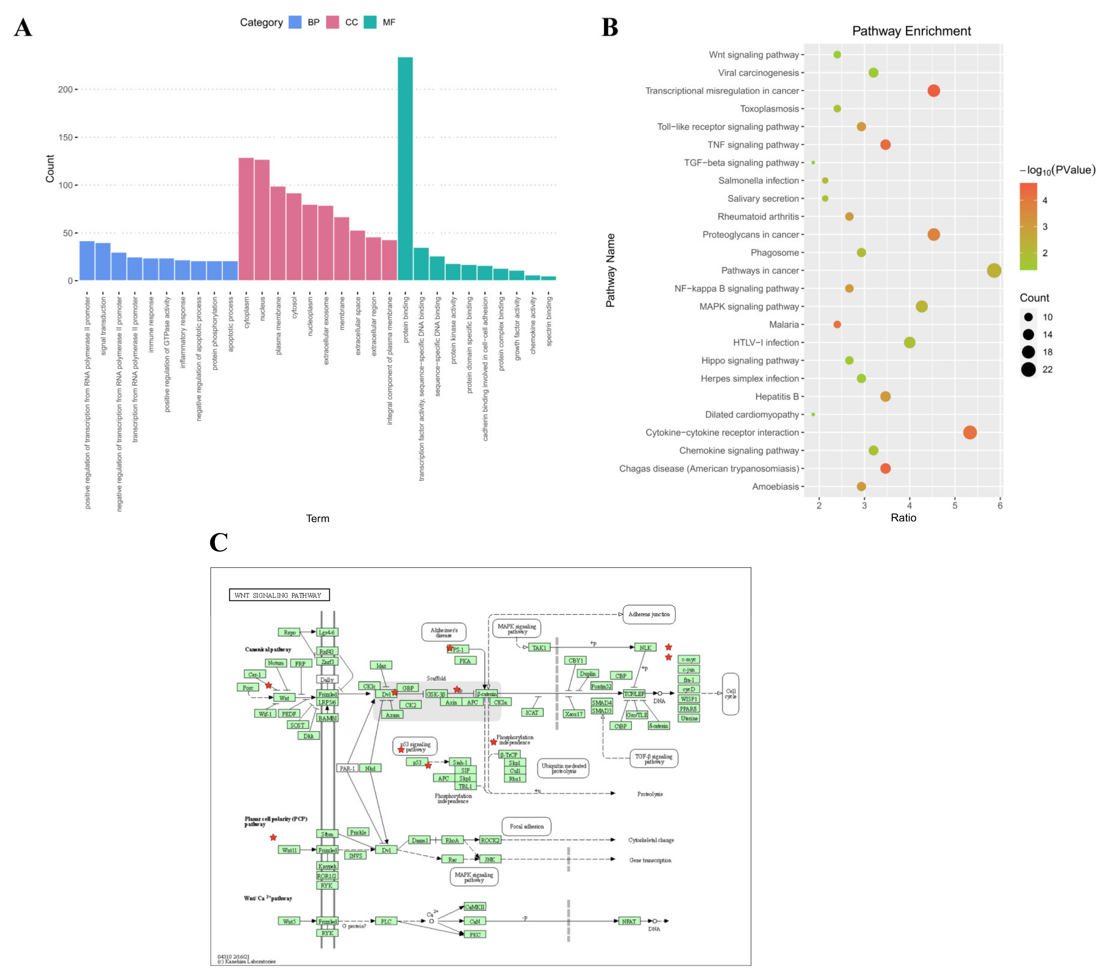 Jcm 12 00113 g005 Jcm 12 00113 g005