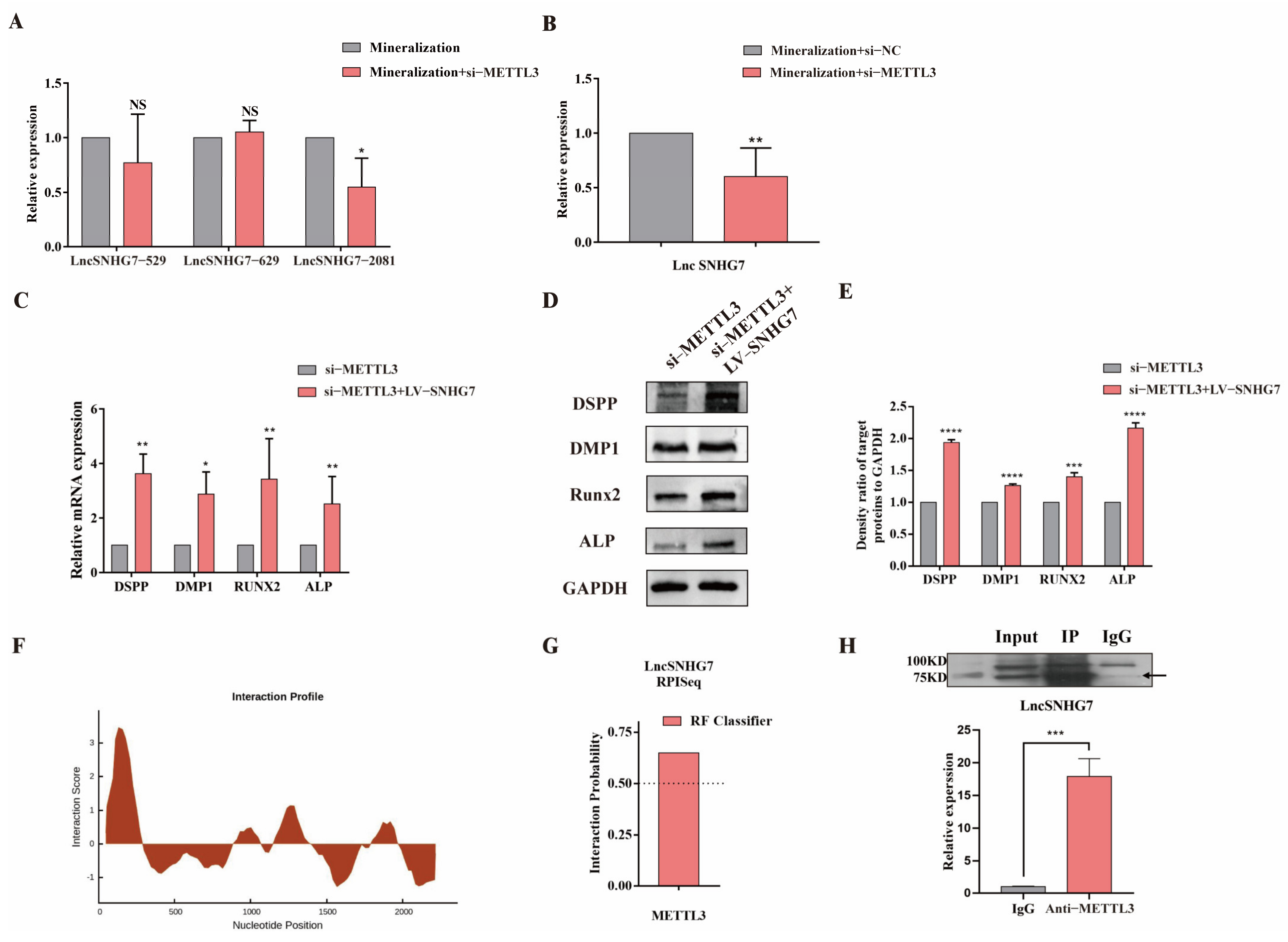 Jcm 12 00113 g006 Jcm 12 00113 g006