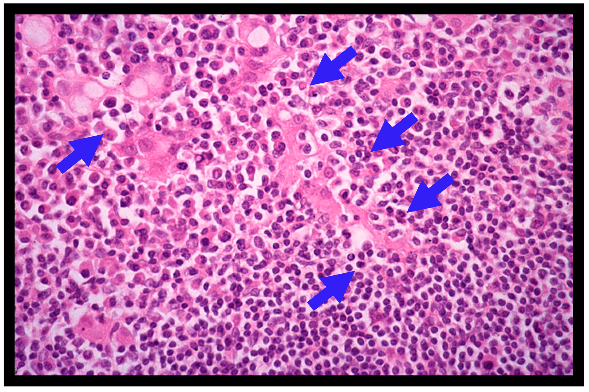 Jcm 12 00120 g002 550