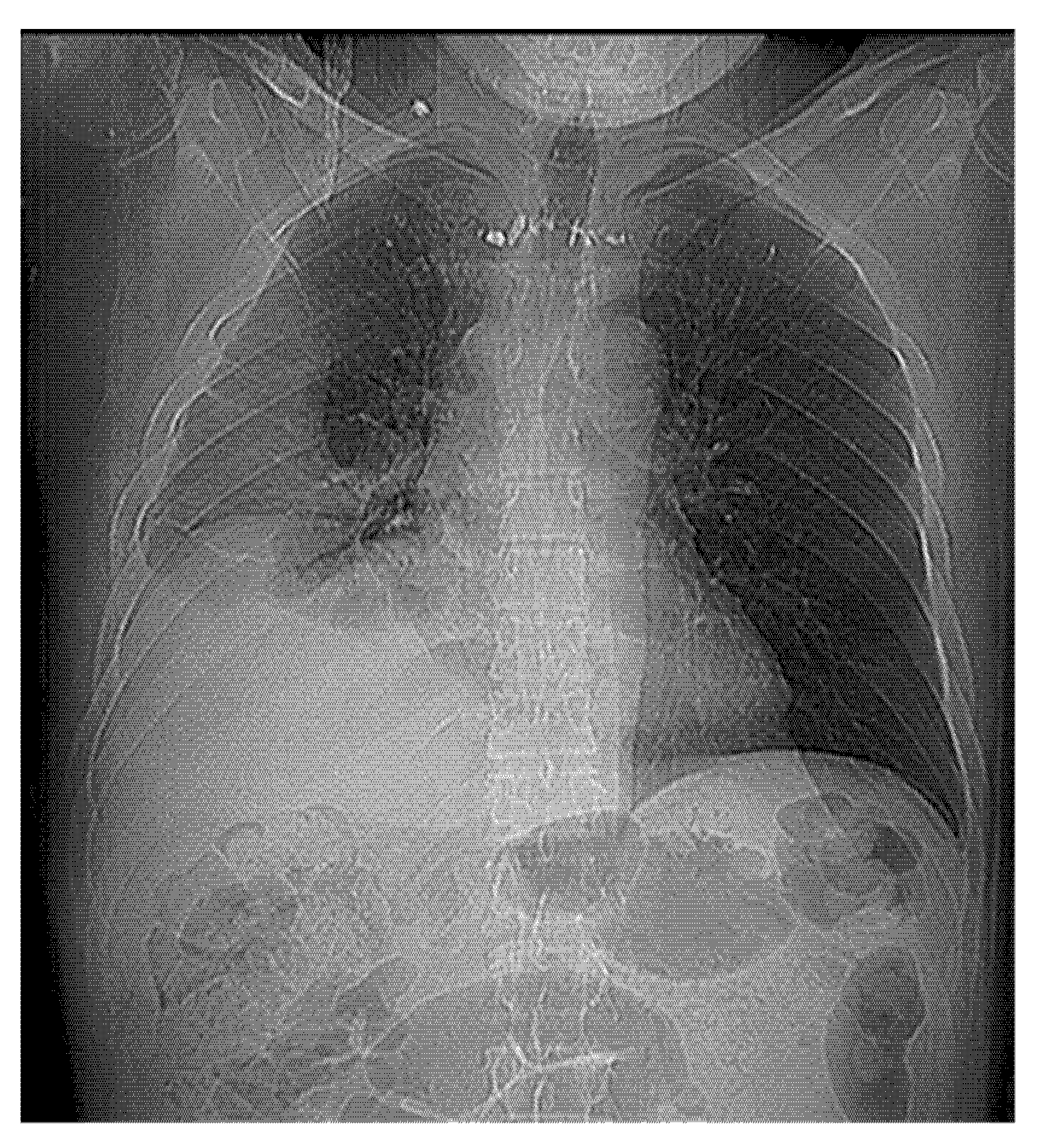 Jcm 12 00136 g001 Jcm 12 00136 g001