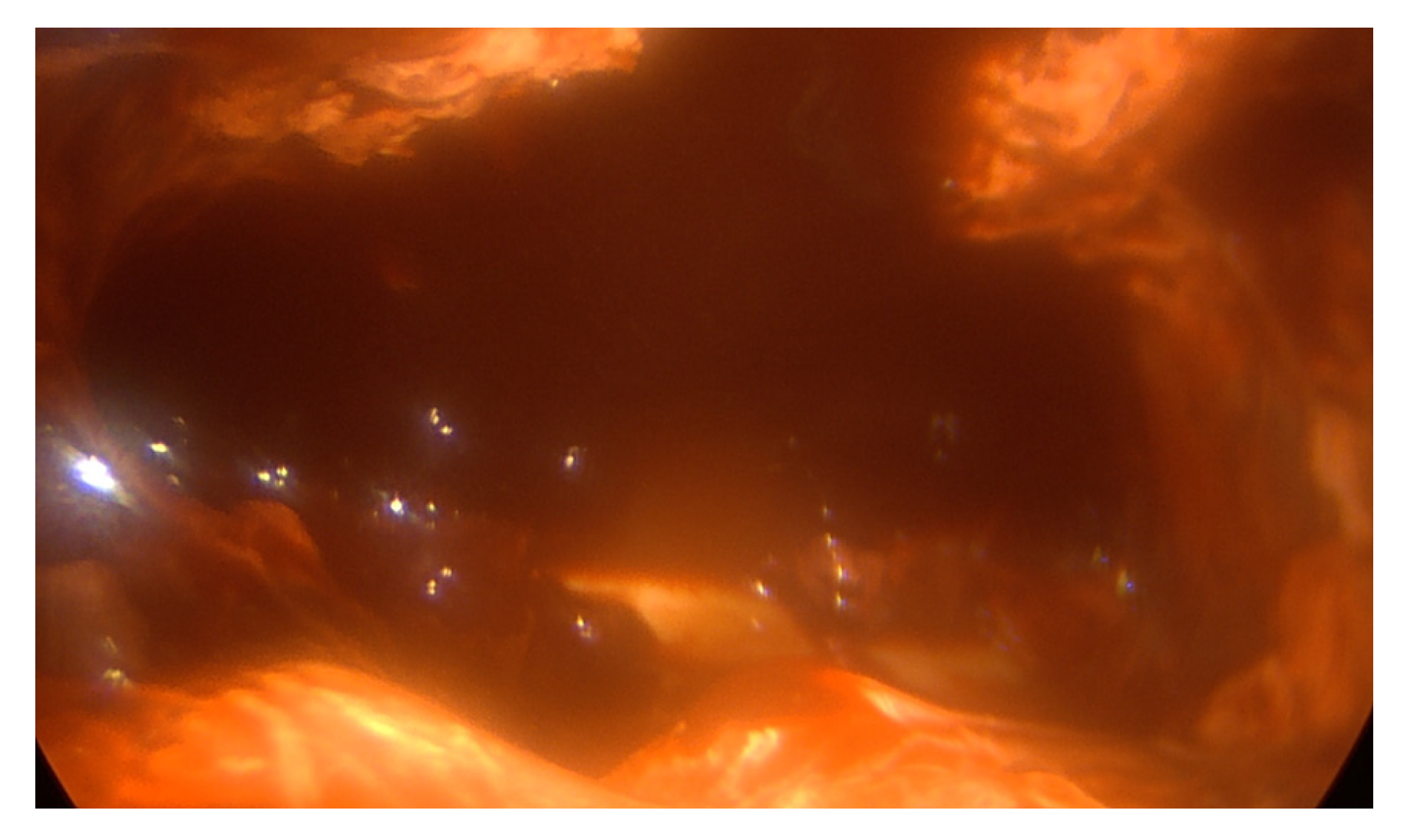 Jcm 12 00136 g003 Jcm 12 00136 g003