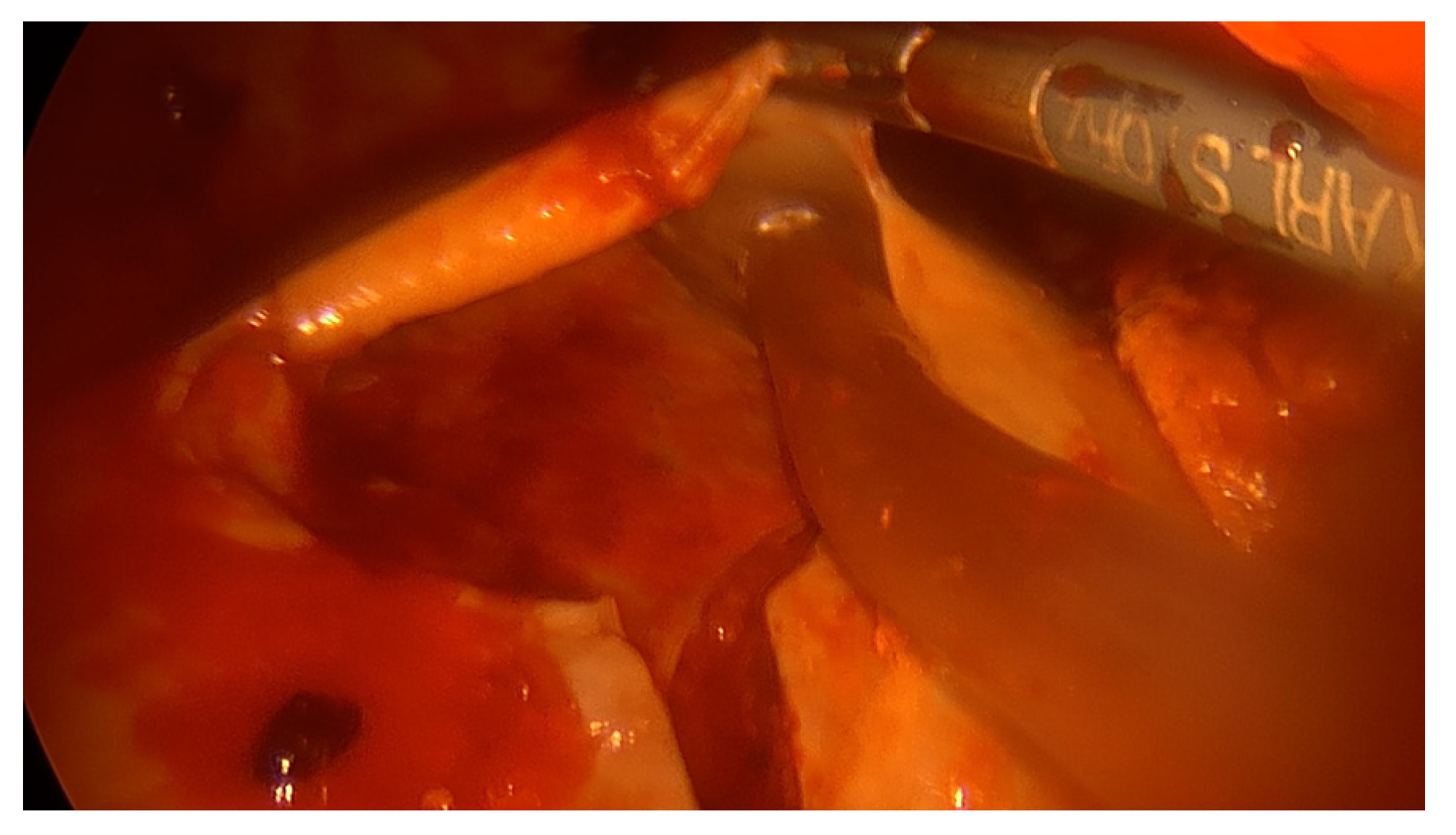 Jcm 12 00136 g004 Jcm 12 00136 g004