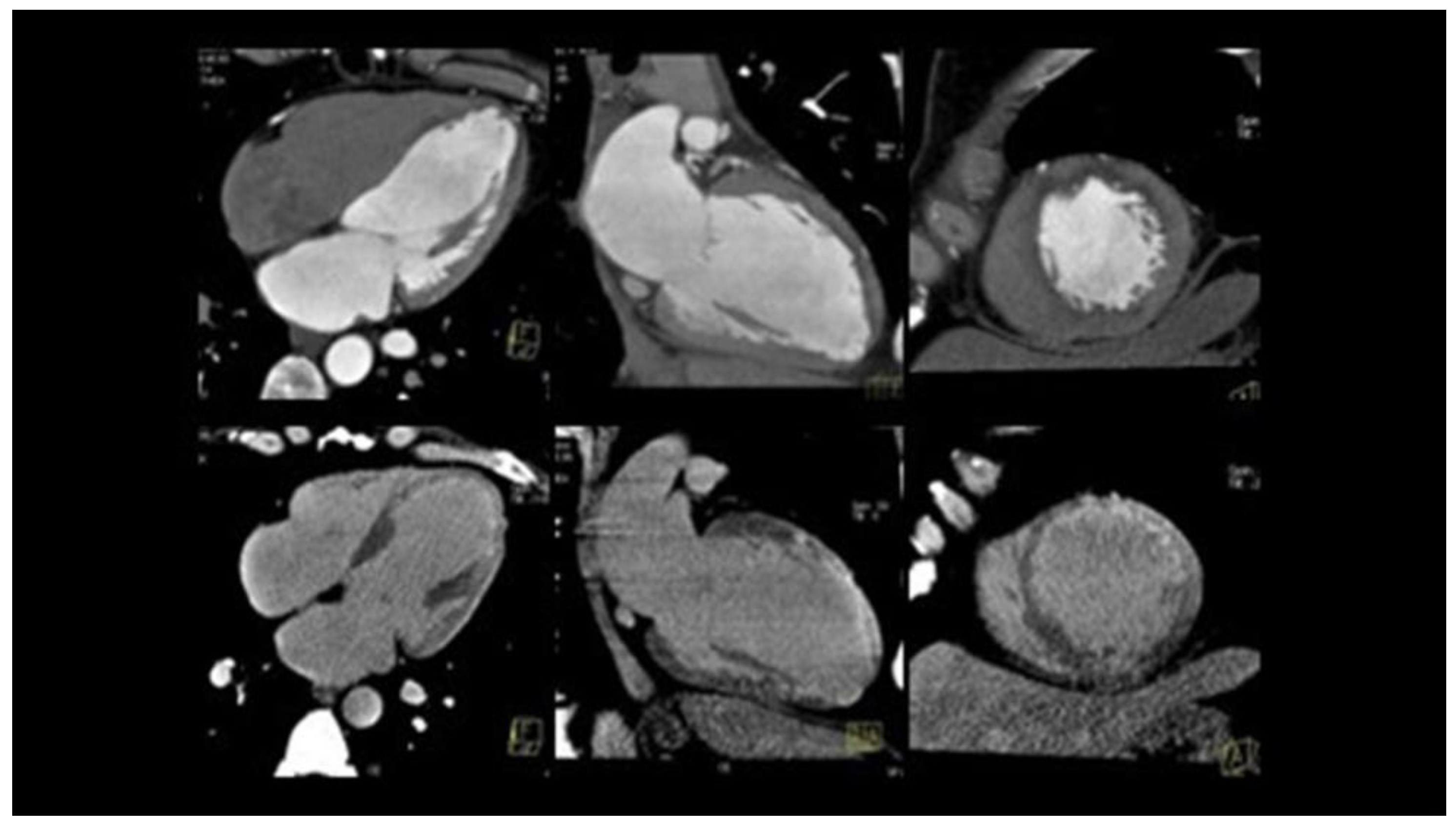 Jcm 12 00154 g005 Jcm 12 00154 g005