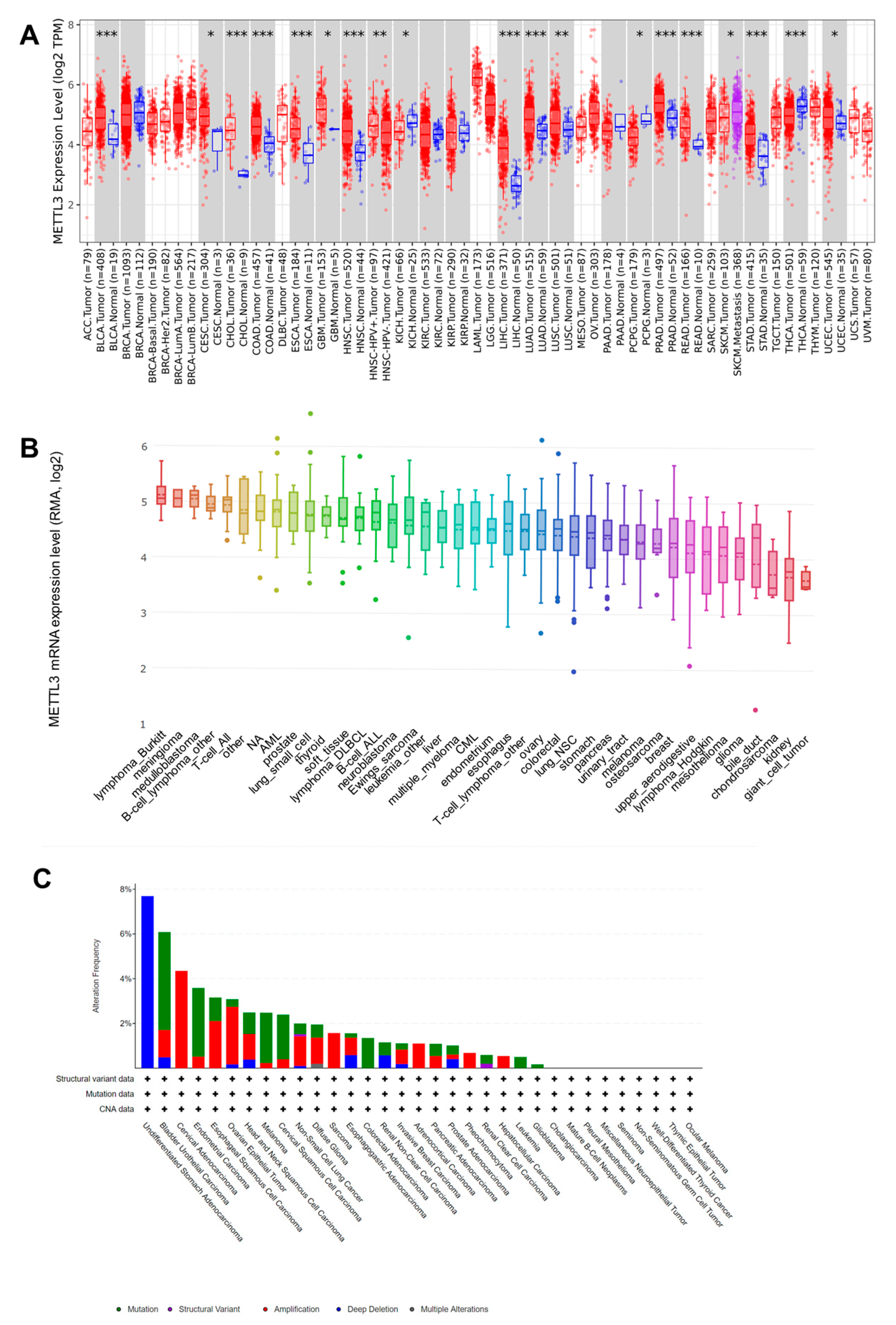 Jcm 12 00155 g001 Jcm 12 00155 g001