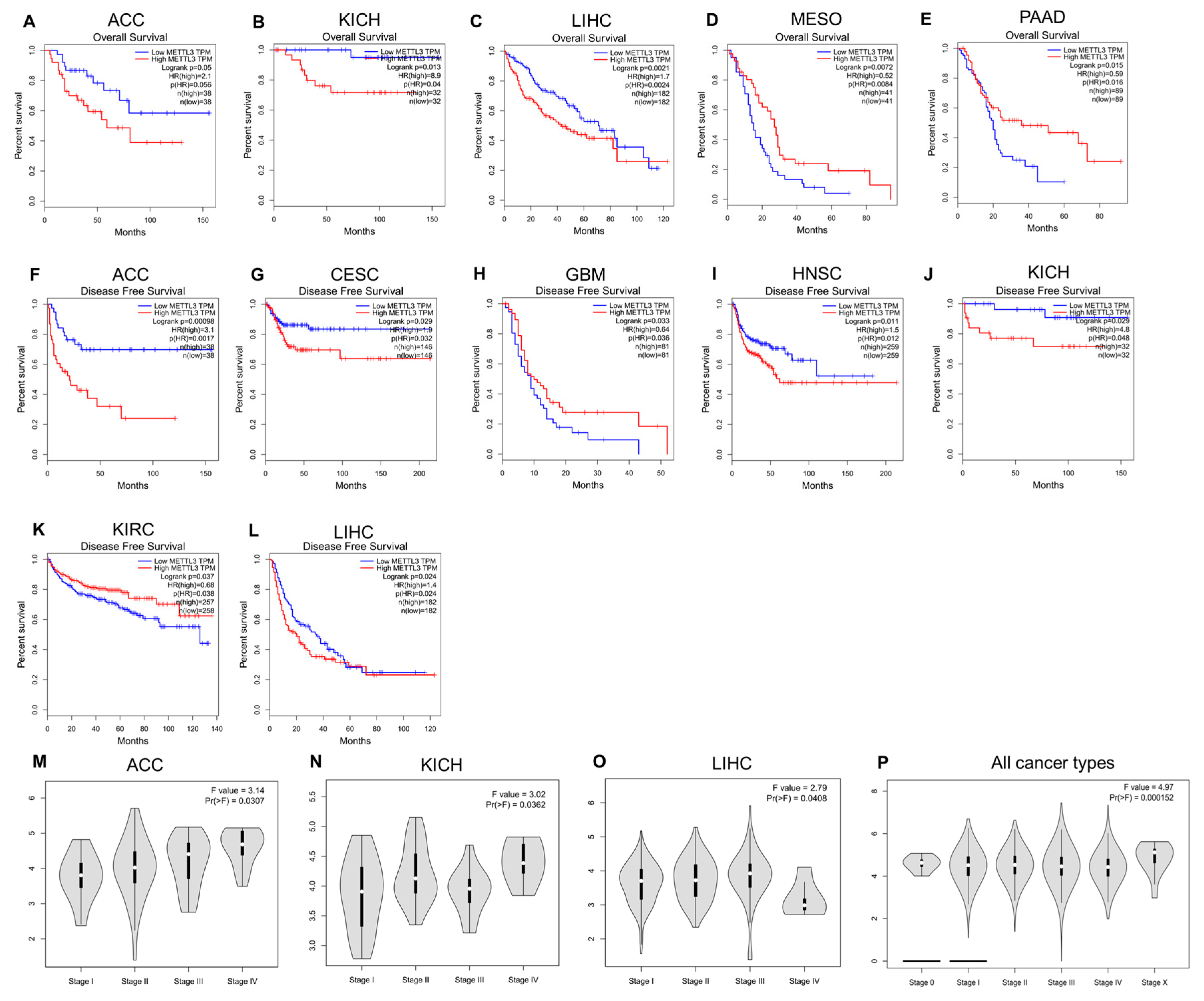 Jcm 12 00155 g002 Jcm 12 00155 g002