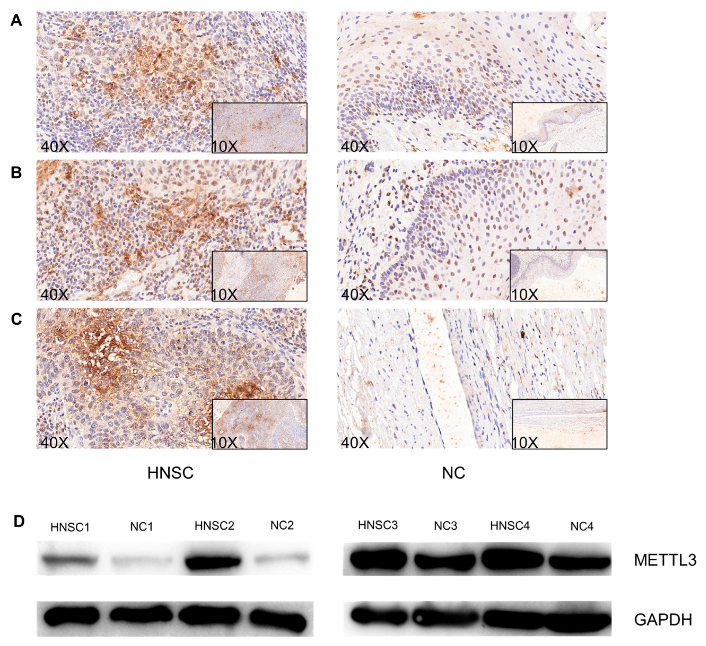 Jcm 12 00155 g005 Jcm 12 00155 g005