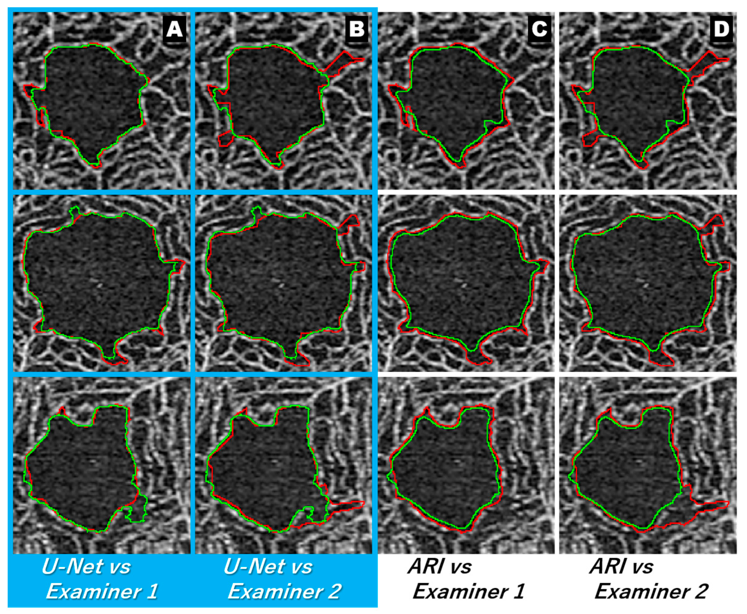 Jcm 12 00183 g006 Jcm 12 00183 g006