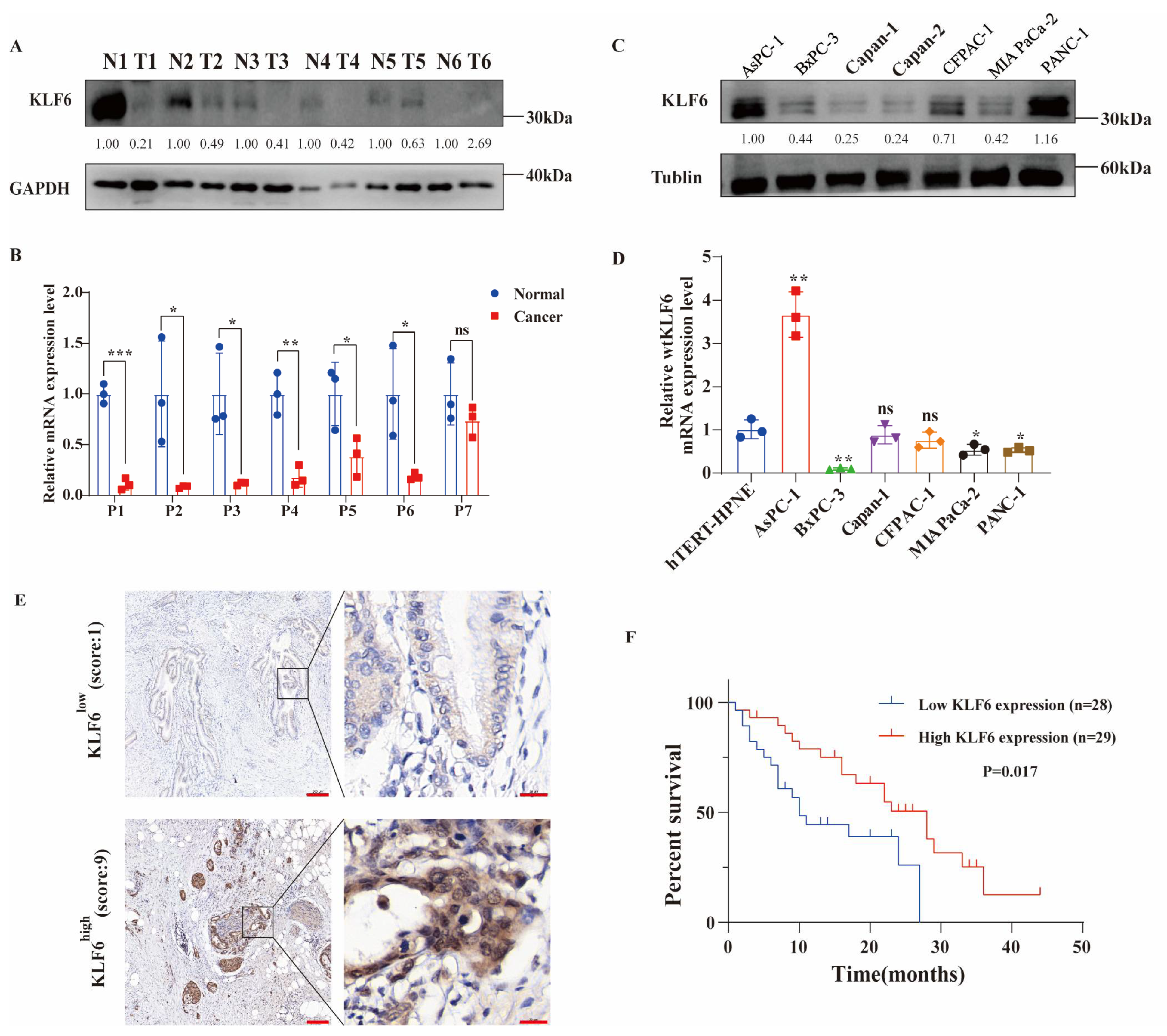 Jcm 12 00200 g001 Jcm 12 00200 g001