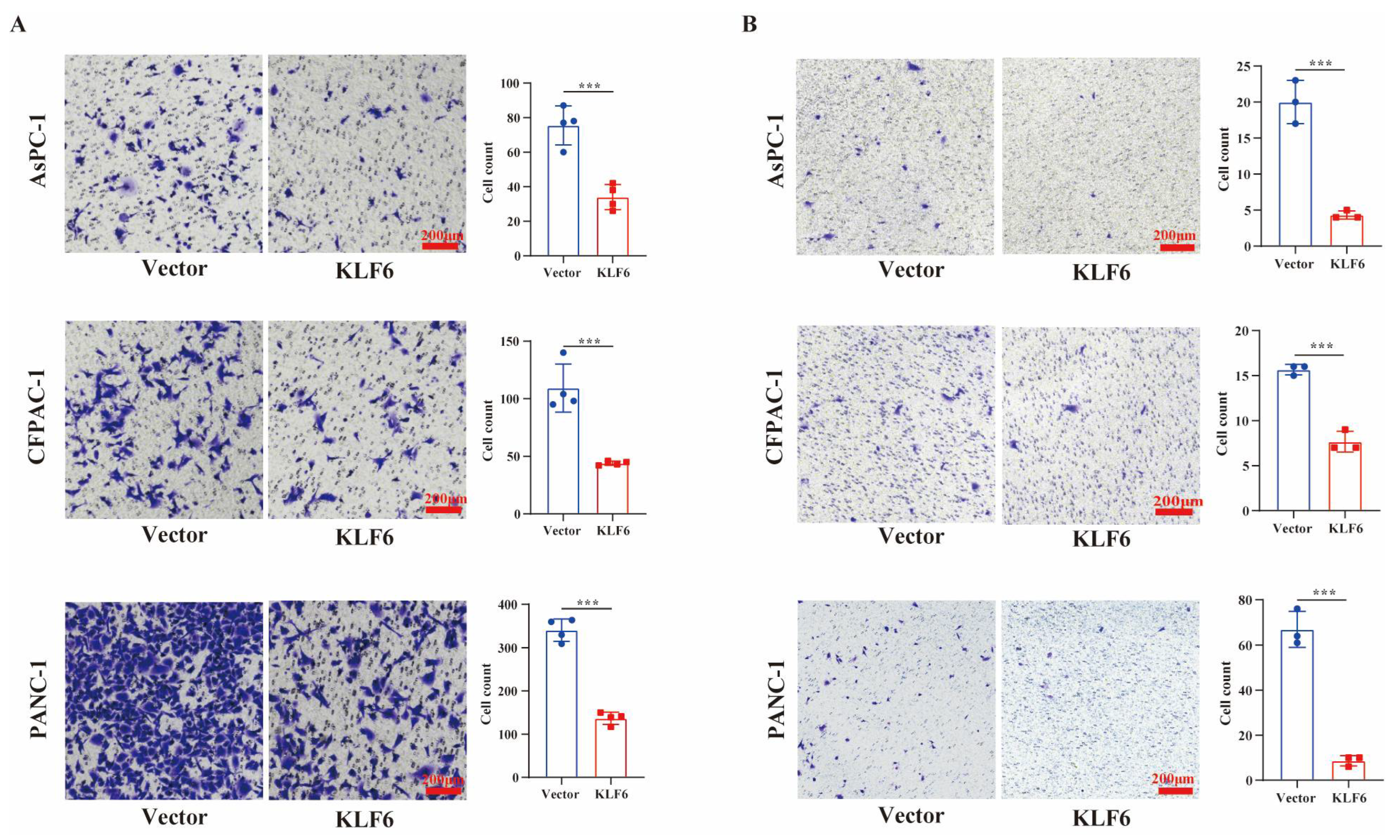 Jcm 12 00200 g003 Jcm 12 00200 g003
