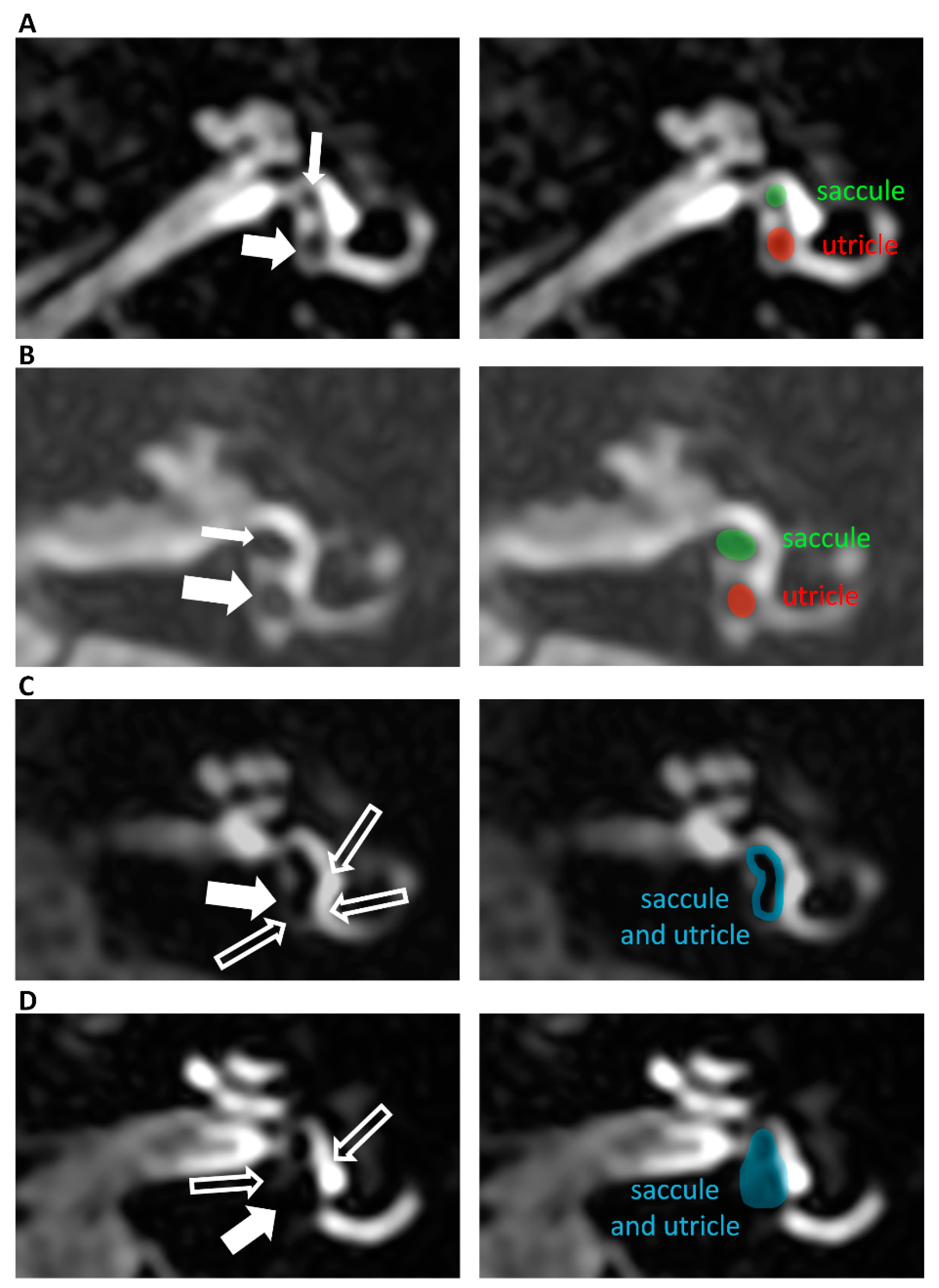 Jcm 12 00202 g002 Jcm 12 00202 g002