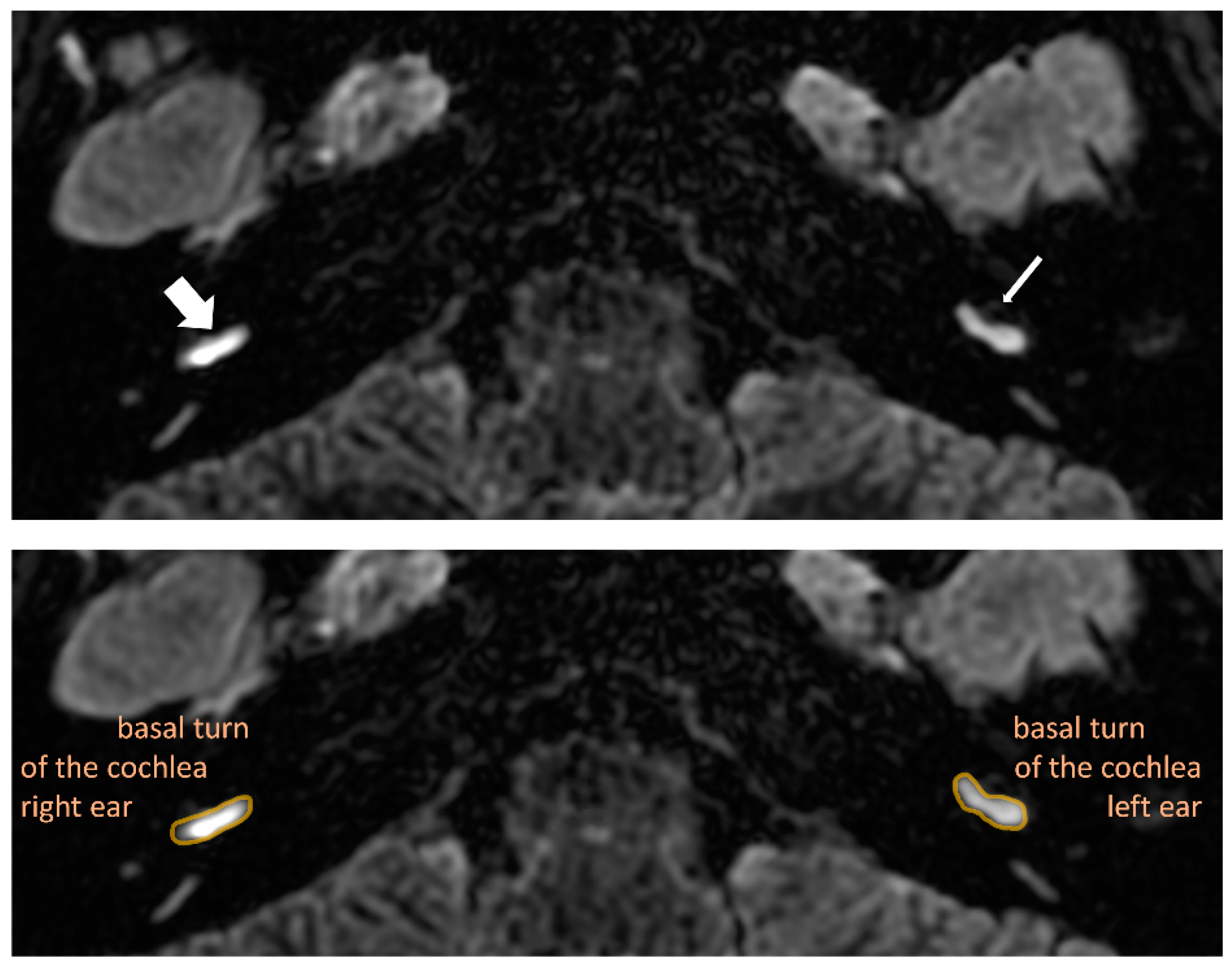 Jcm 12 00202 g003 Jcm 12 00202 g003
