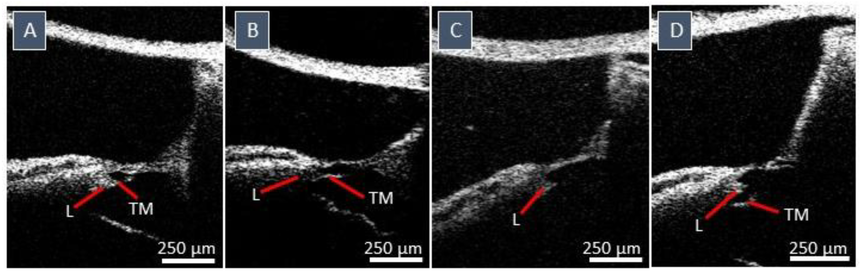 Jcm 12 00238 g005 Jcm 12 00238 g005