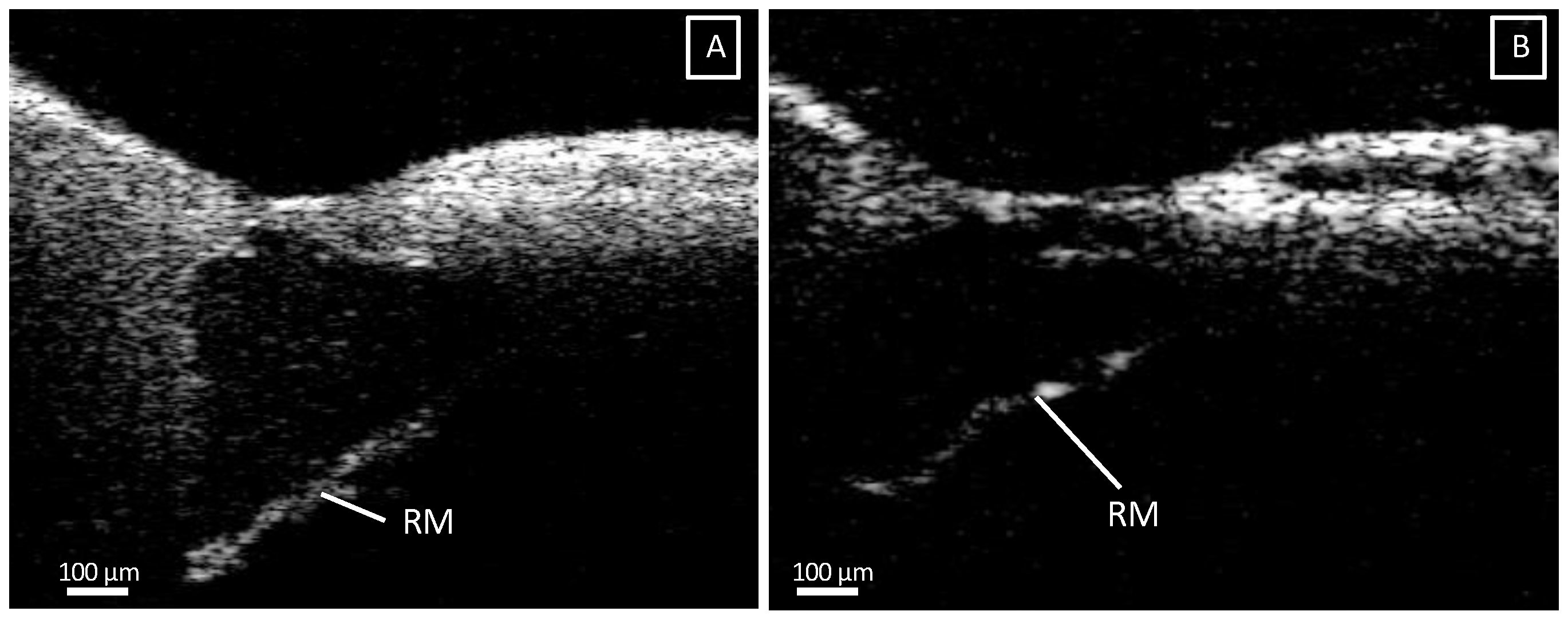 Jcm 12 00238 g006 Jcm 12 00238 g006