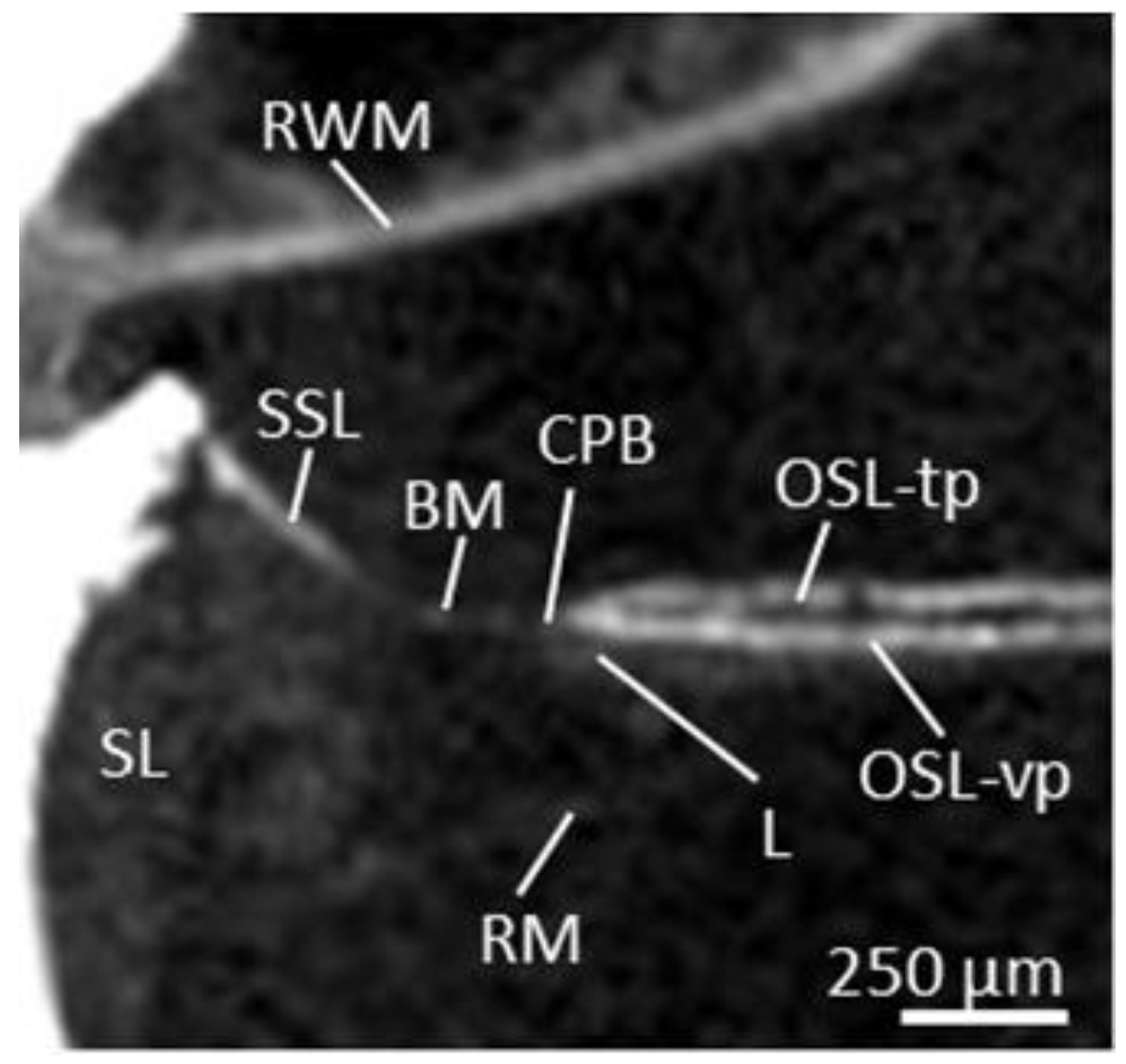 Jcm 12 00238 g0a2 Jcm 12 00238 g0a2