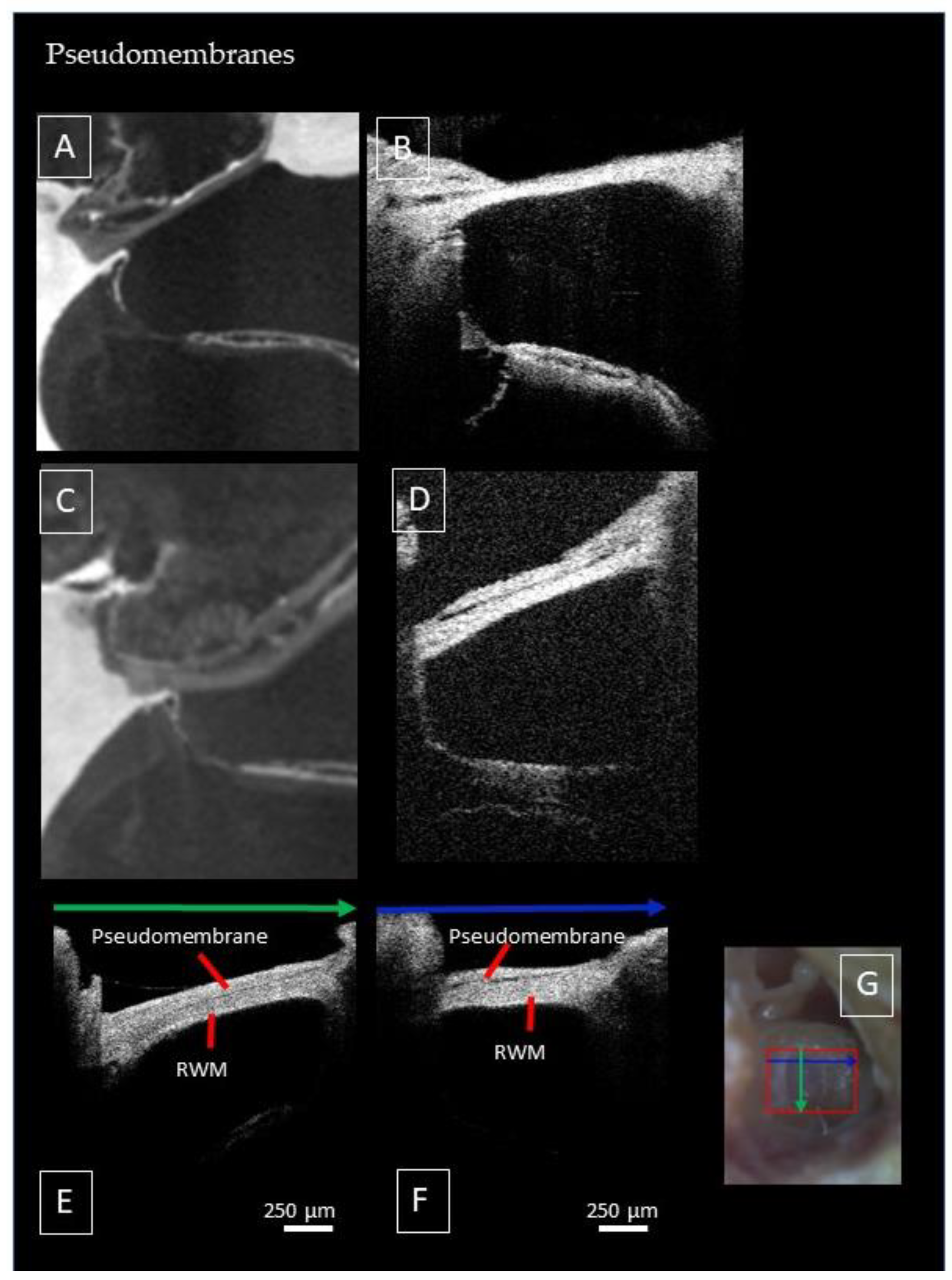 Jcm 12 00238 g0a4 Jcm 12 00238 g0a4