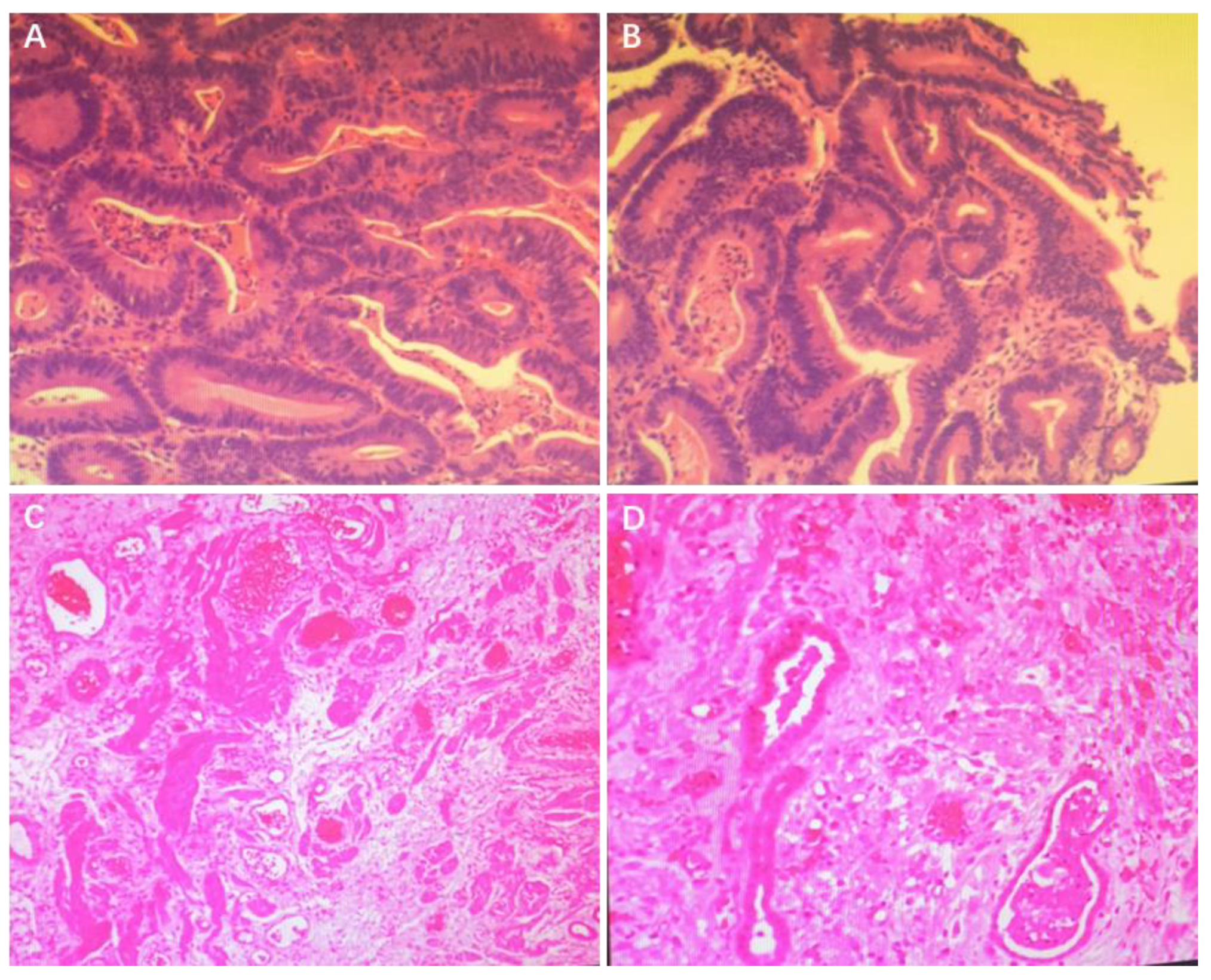 Jcm 12 00240 g002 Jcm 12 00240 g002