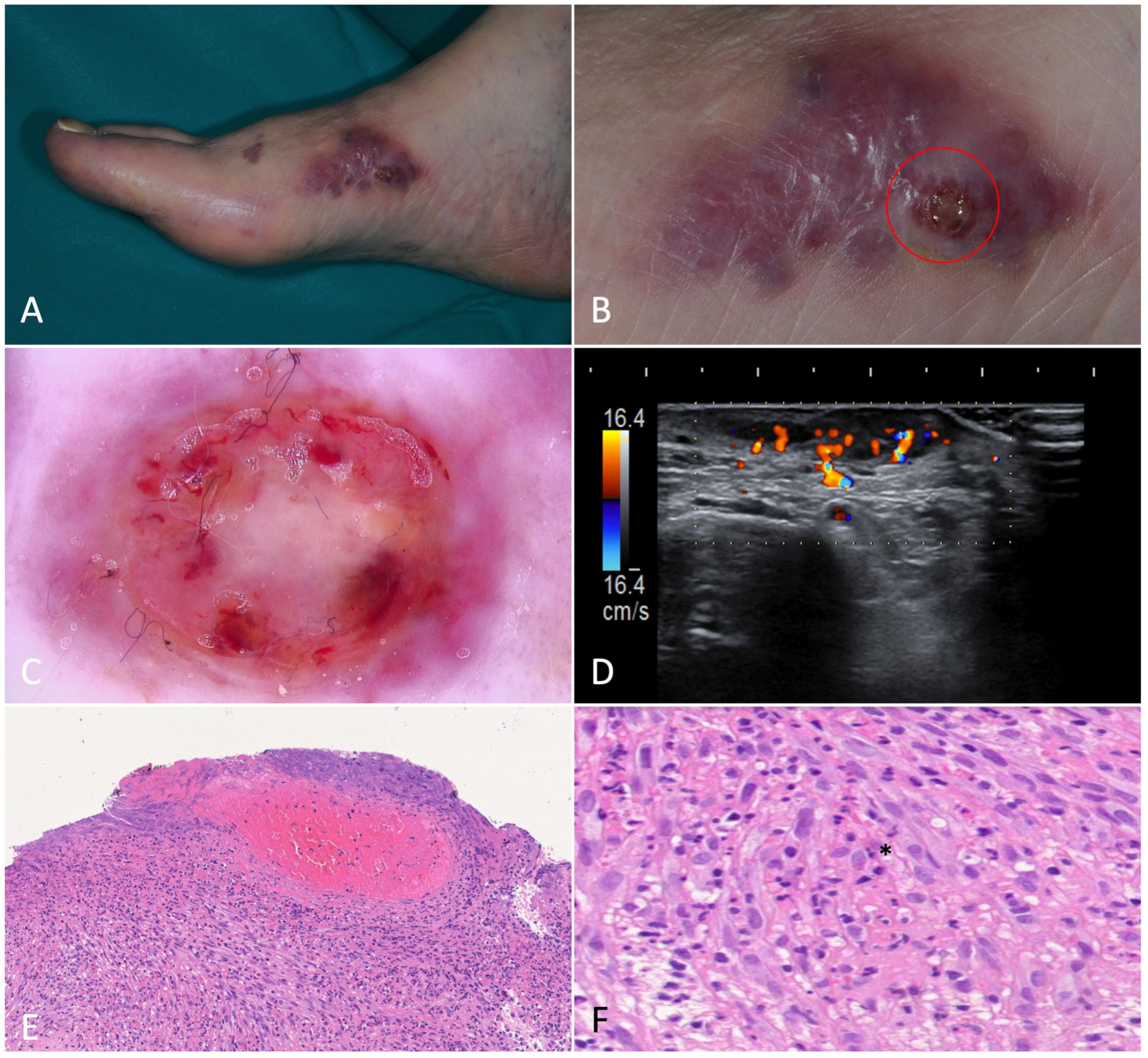 Jcm 12 00278 g002 Jcm 12 00278 g002