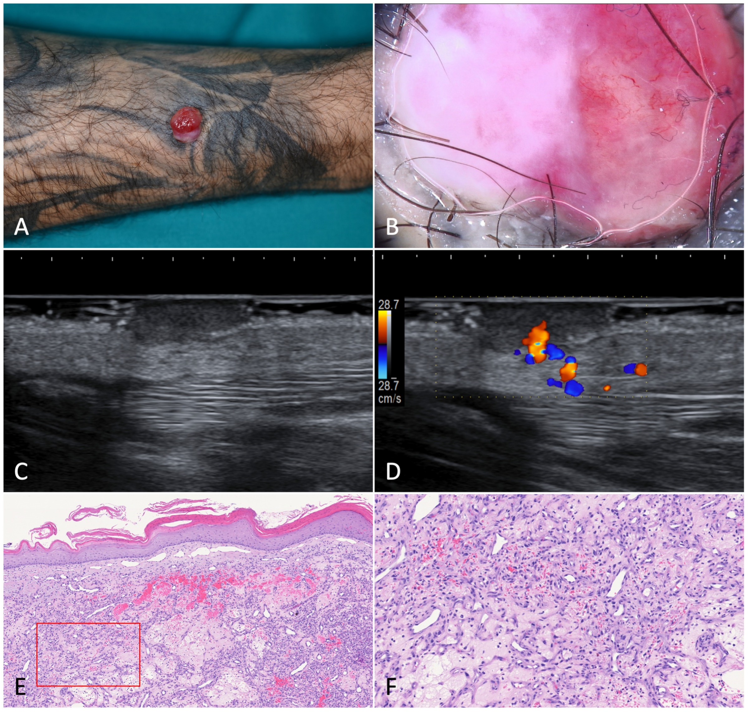 Jcm 12 00278 g007 Jcm 12 00278 g007
