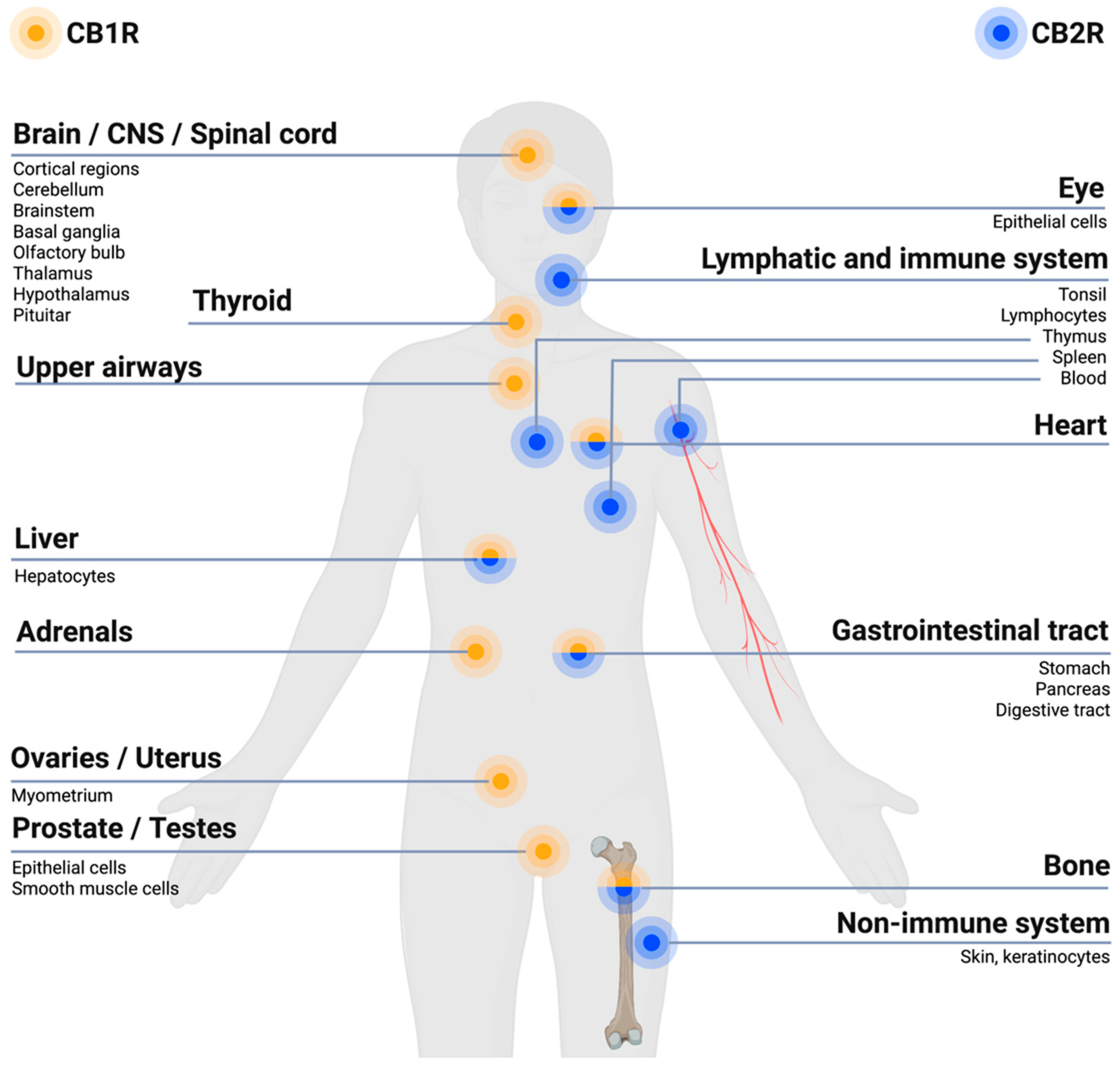 Jcm 12 00307 g001 Jcm 12 00307 g001