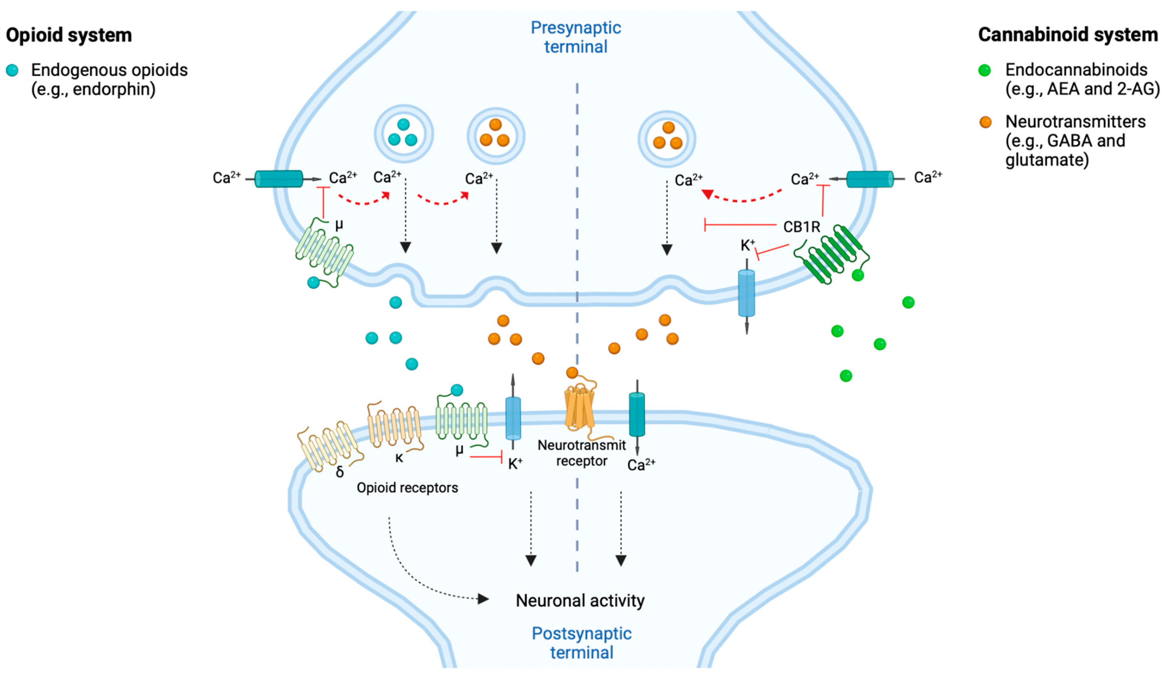 Jcm 12 00307 g002 Jcm 12 00307 g002