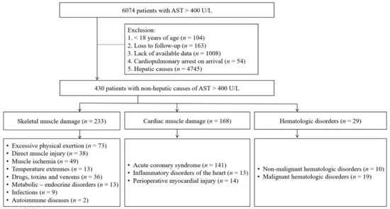 Markedly Elevated Aspartate Aminotransferase from Non-Hepatic Causes