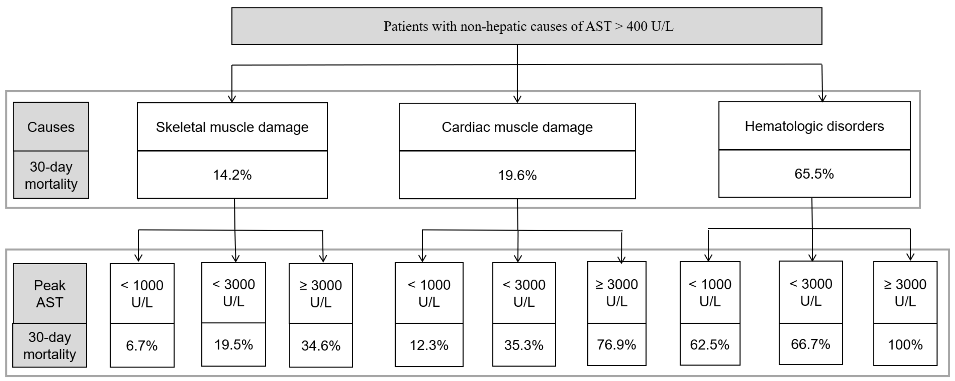 Markedly Elevated Aspartate Aminotransferase from Non-Hepatic Causes