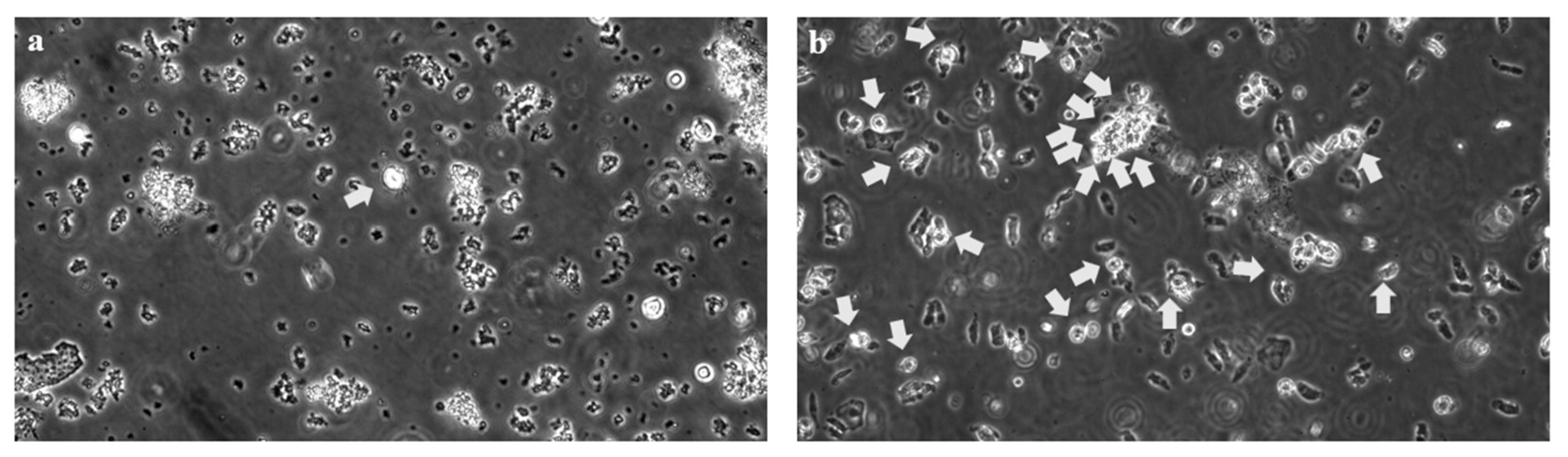 Jcm 12 00317 g003 Jcm 12 00317 g003