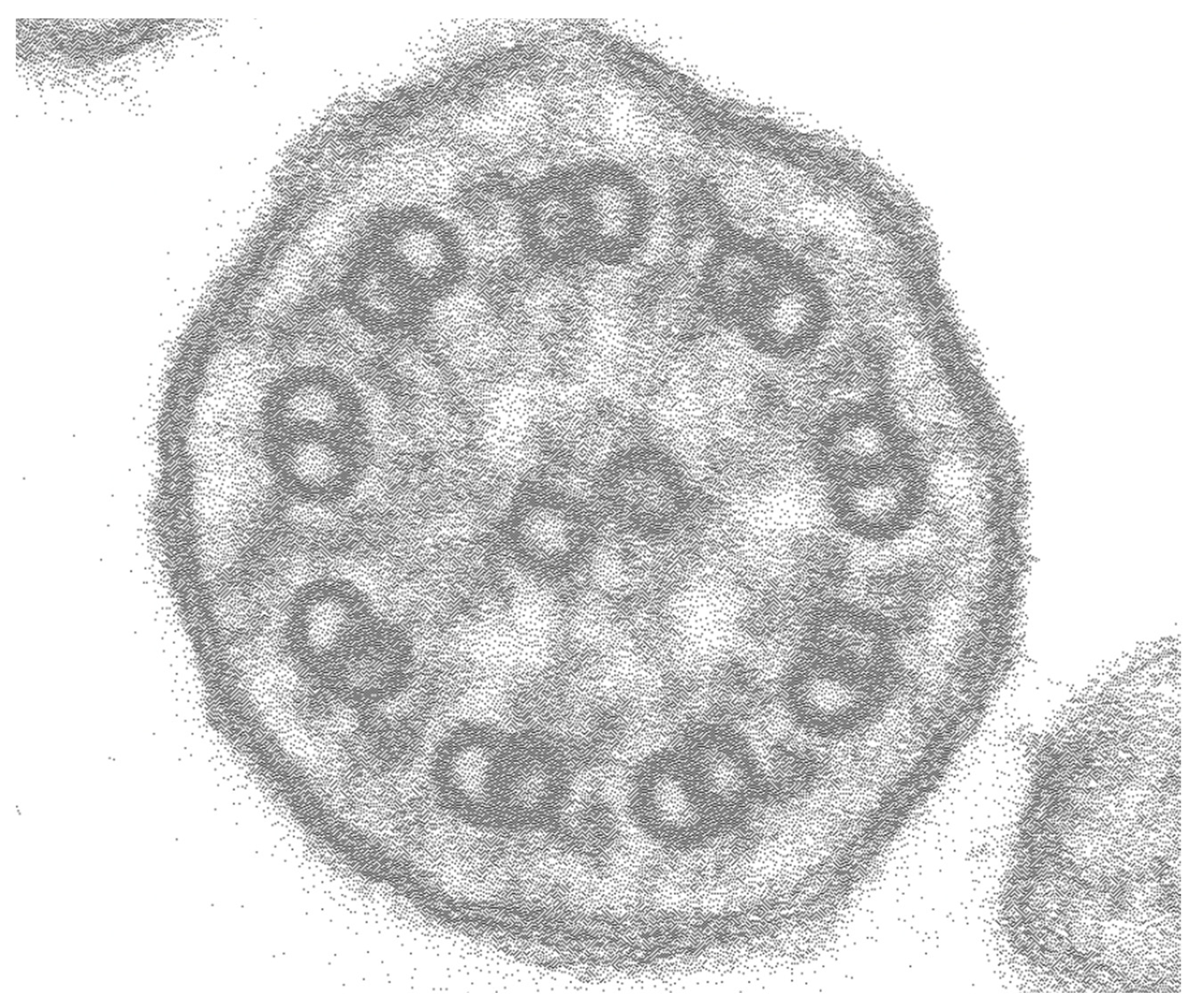 Jcm 12 00317 g004 Jcm 12 00317 g004