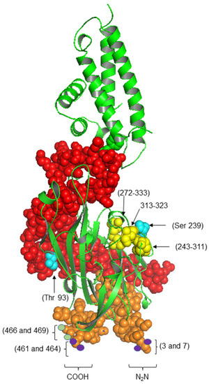 FAT/CD36 Participation in Human Skeletal Muscle Lipid Metabolism: A ...