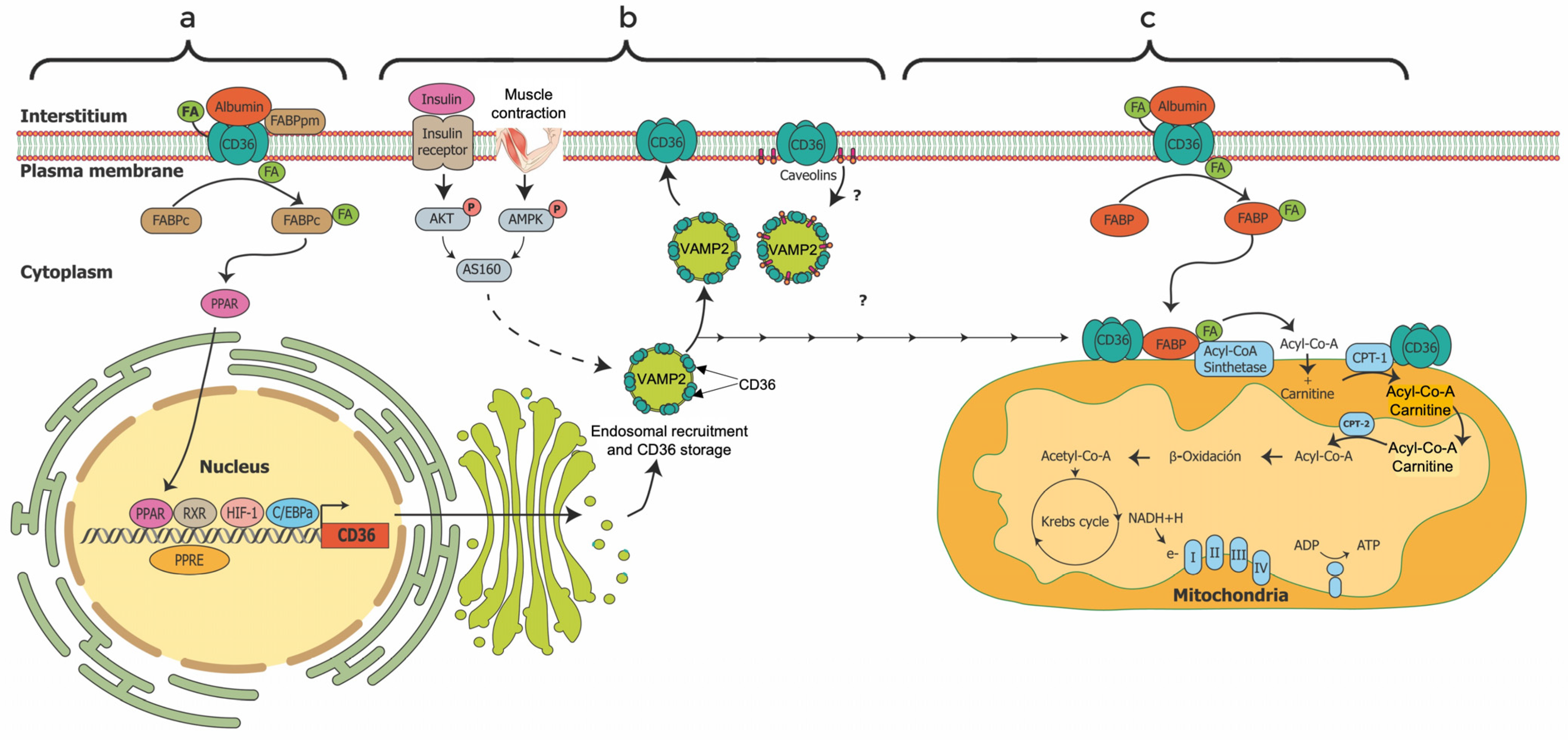 Jcm 12 00318 g005 Jcm 12 00318 g005