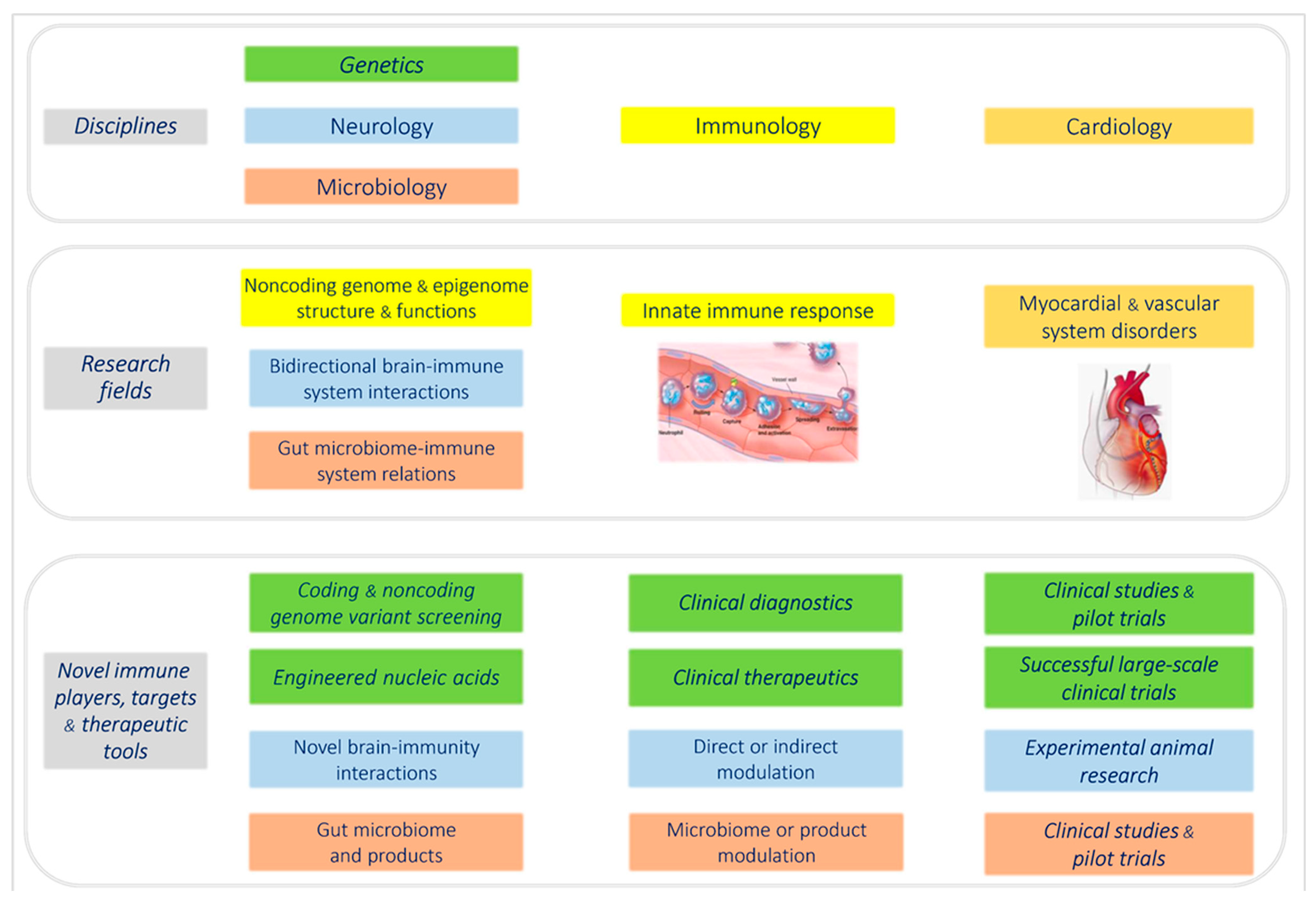 Keystone Symposia: Regulation of barrier immunity