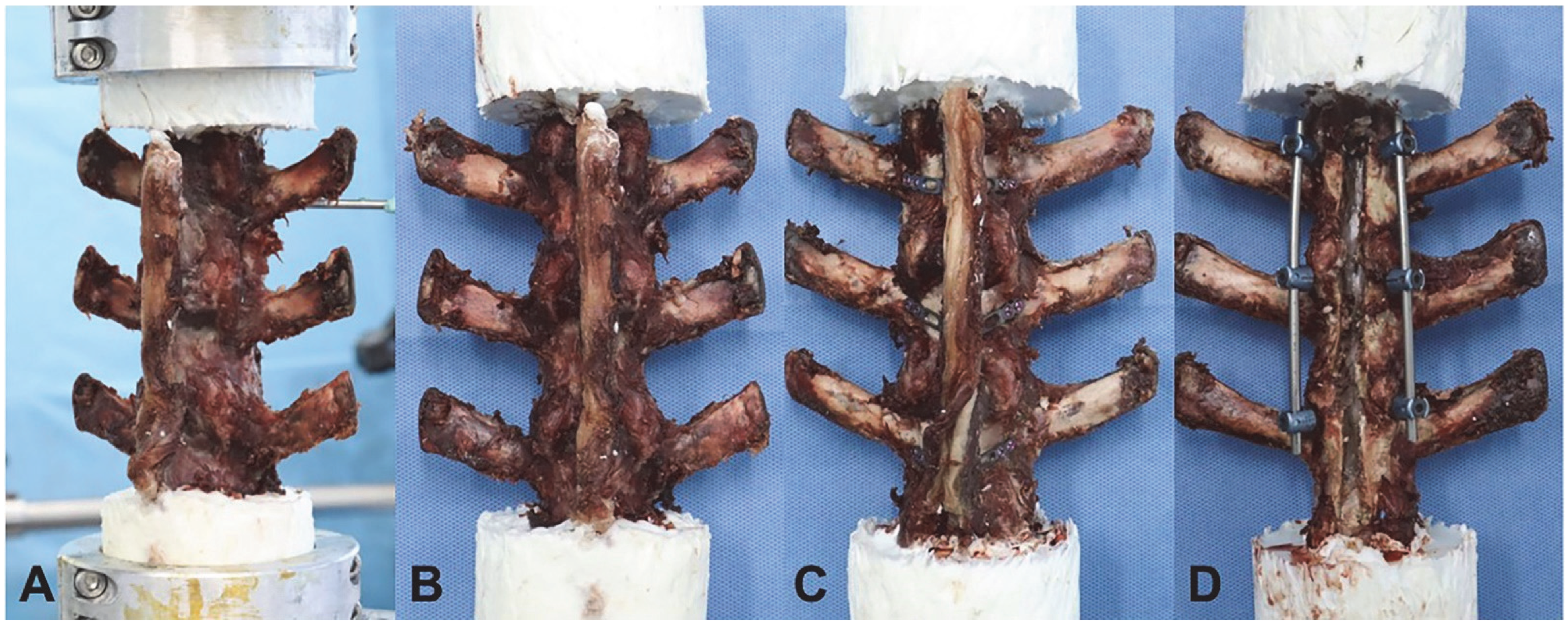 Jcm 12 00355 g002 Jcm 12 00355 g002