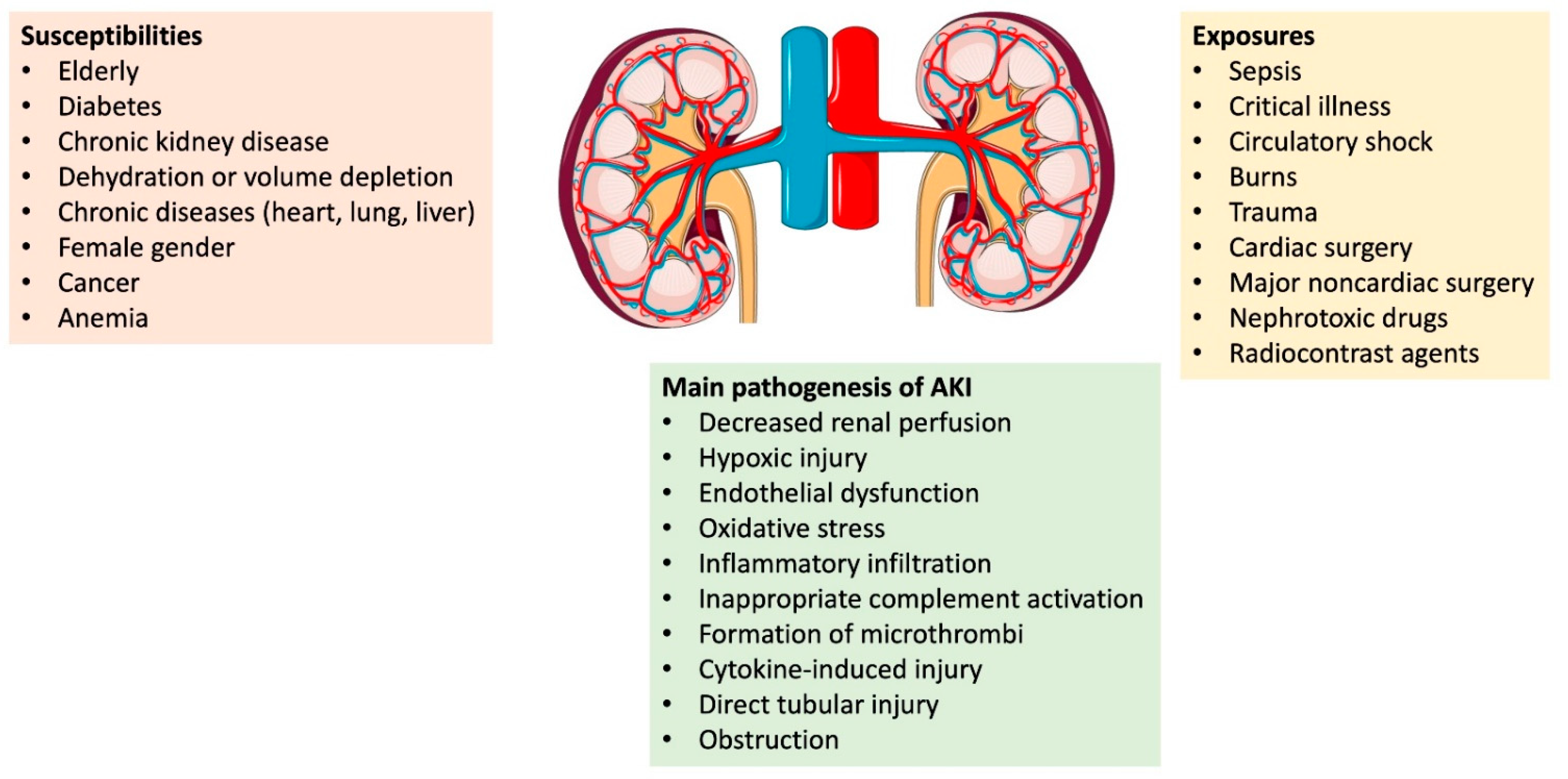Acute Kidney Injury 1 Pre Renal Causes Of Aki NBKomputer