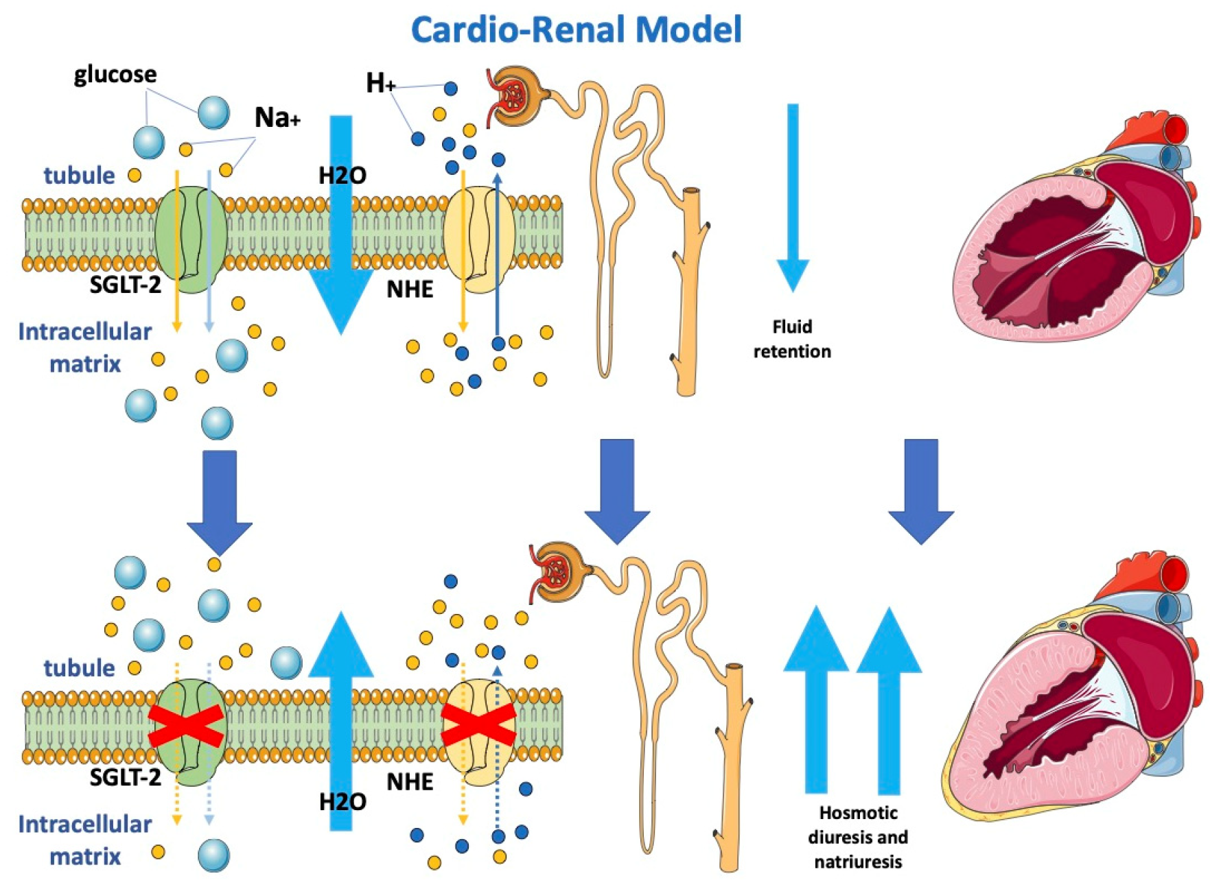 Jcm 12 00379 g001 Jcm 12 00379 g001