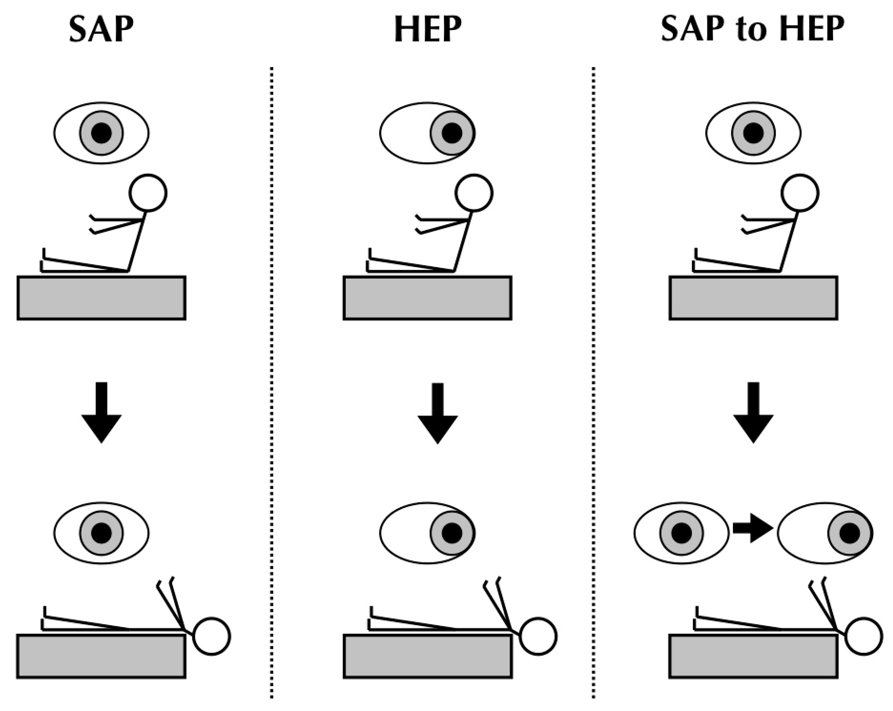 JCM Free FullText Positional EndPoint Nystagmus during Positional