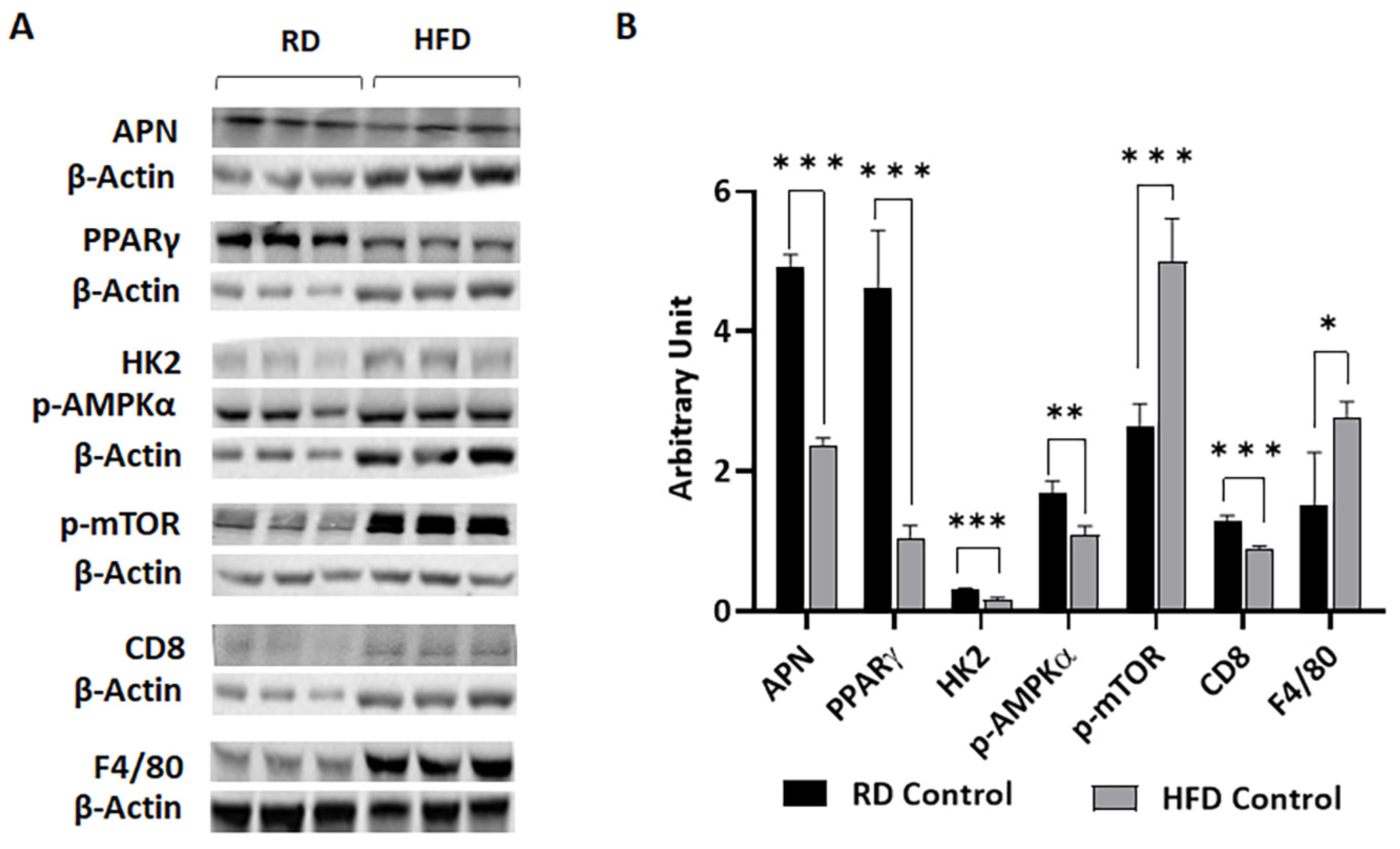 Jcm 12 00413 g002 Jcm 12 00413 g002