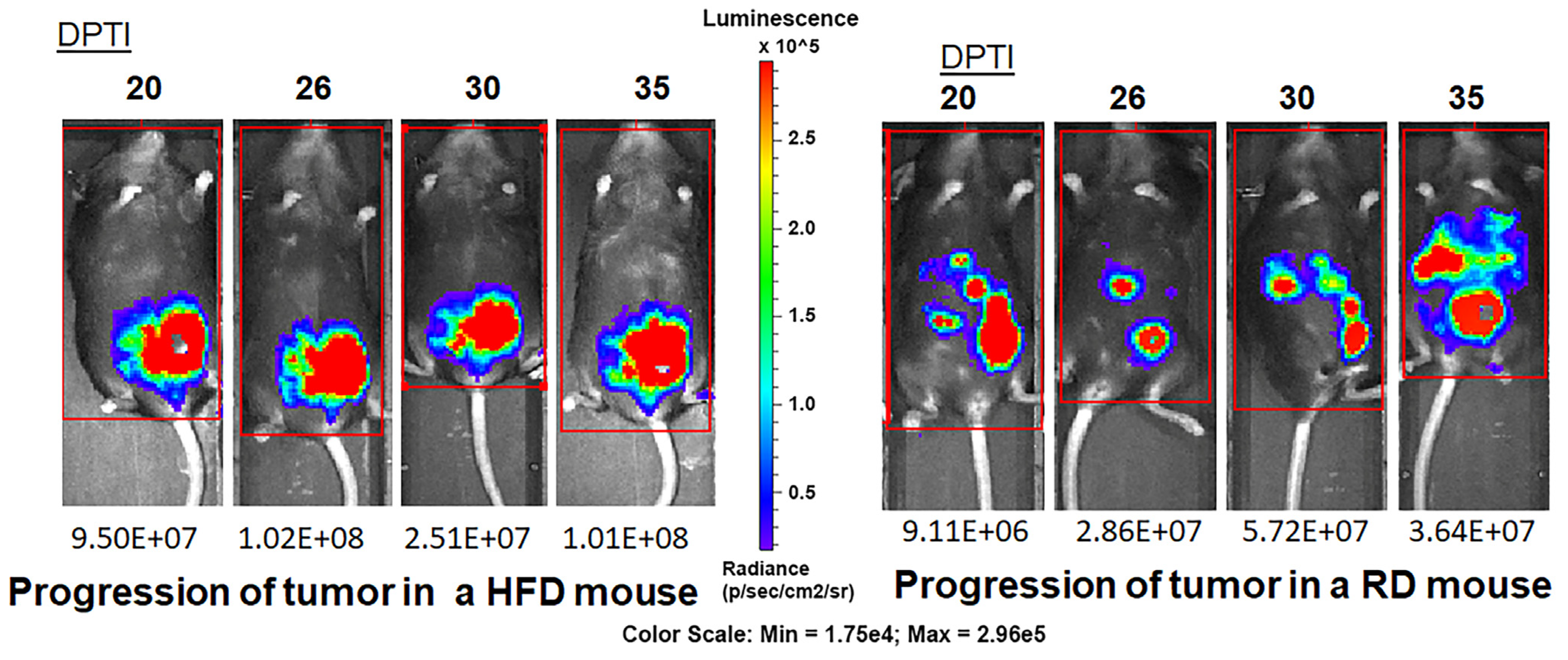 Jcm 12 00413 g004 Jcm 12 00413 g004