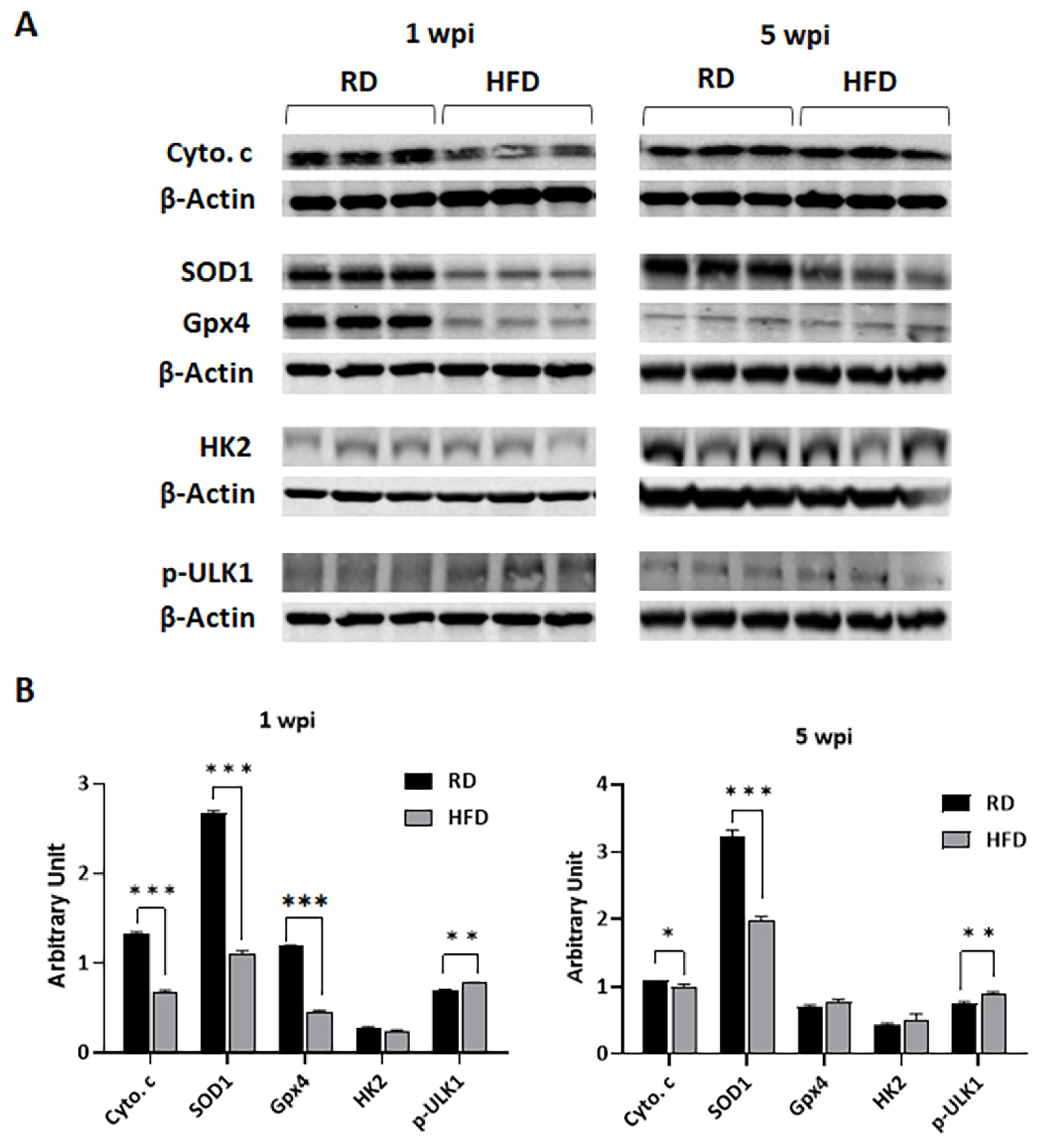 Jcm 12 00413 g006 Jcm 12 00413 g006